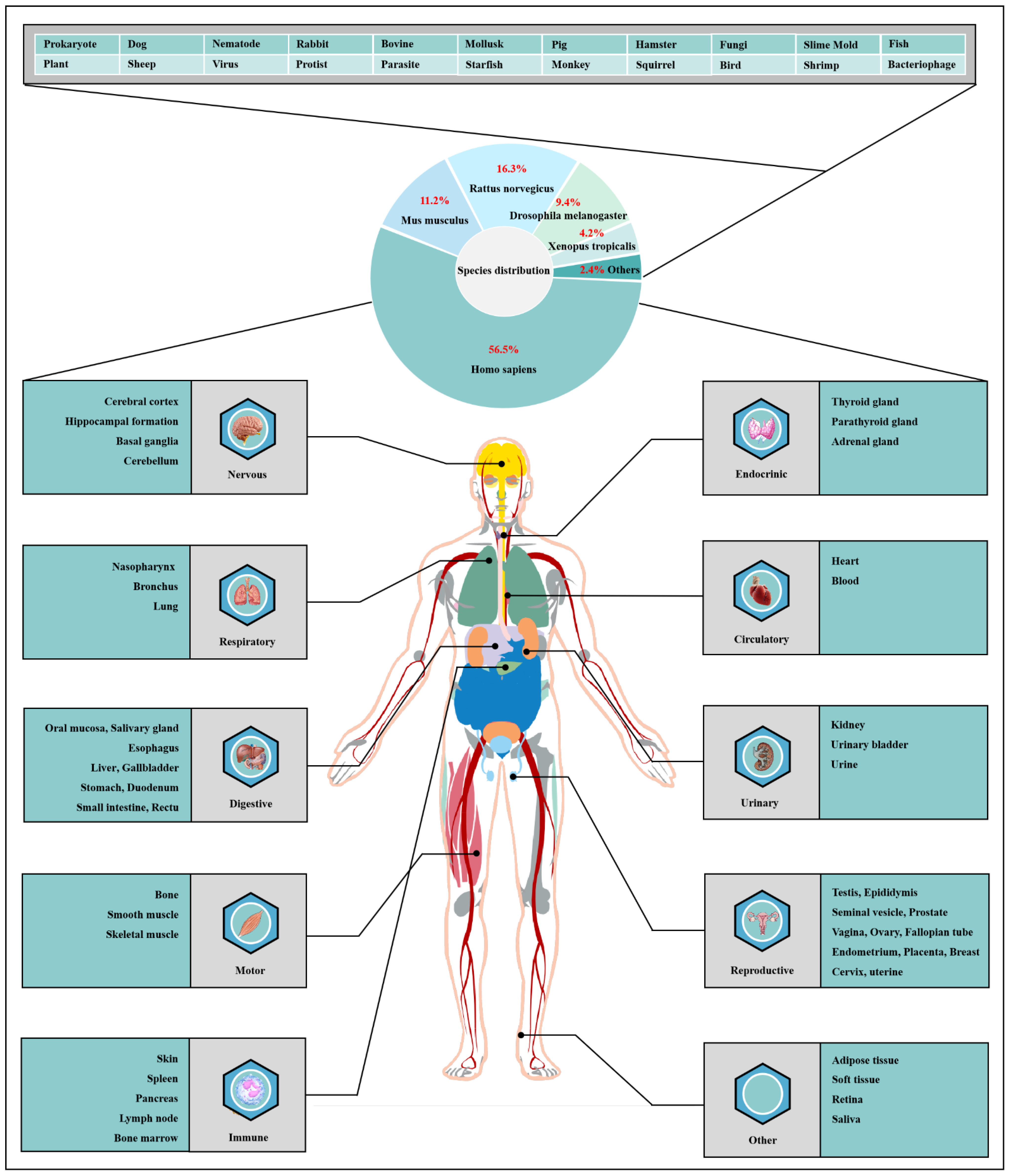 Cells 11 01789 g001 Cells 11 01789 g001