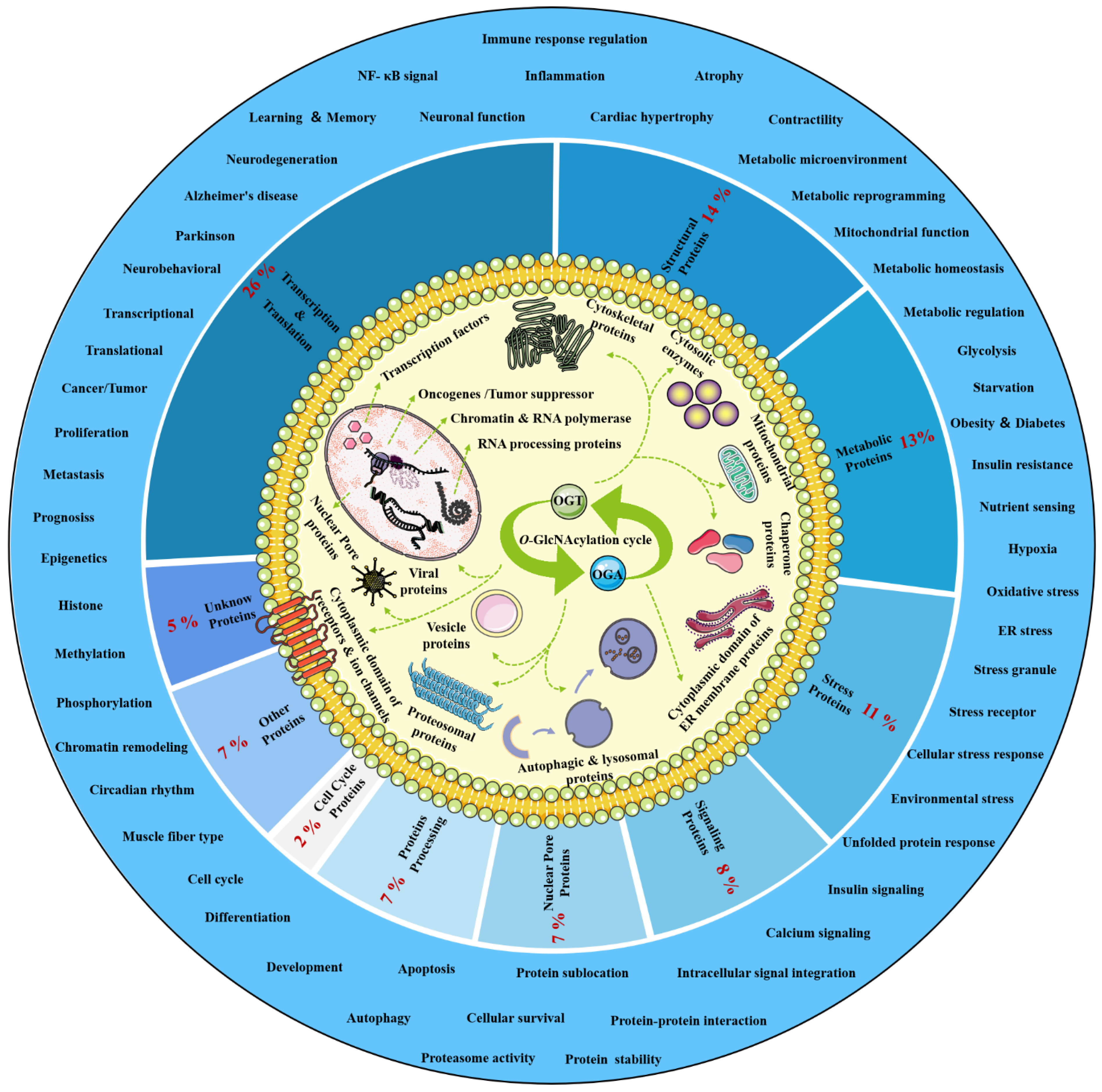 Cells 11 01789 g002 Cells 11 01789 g002