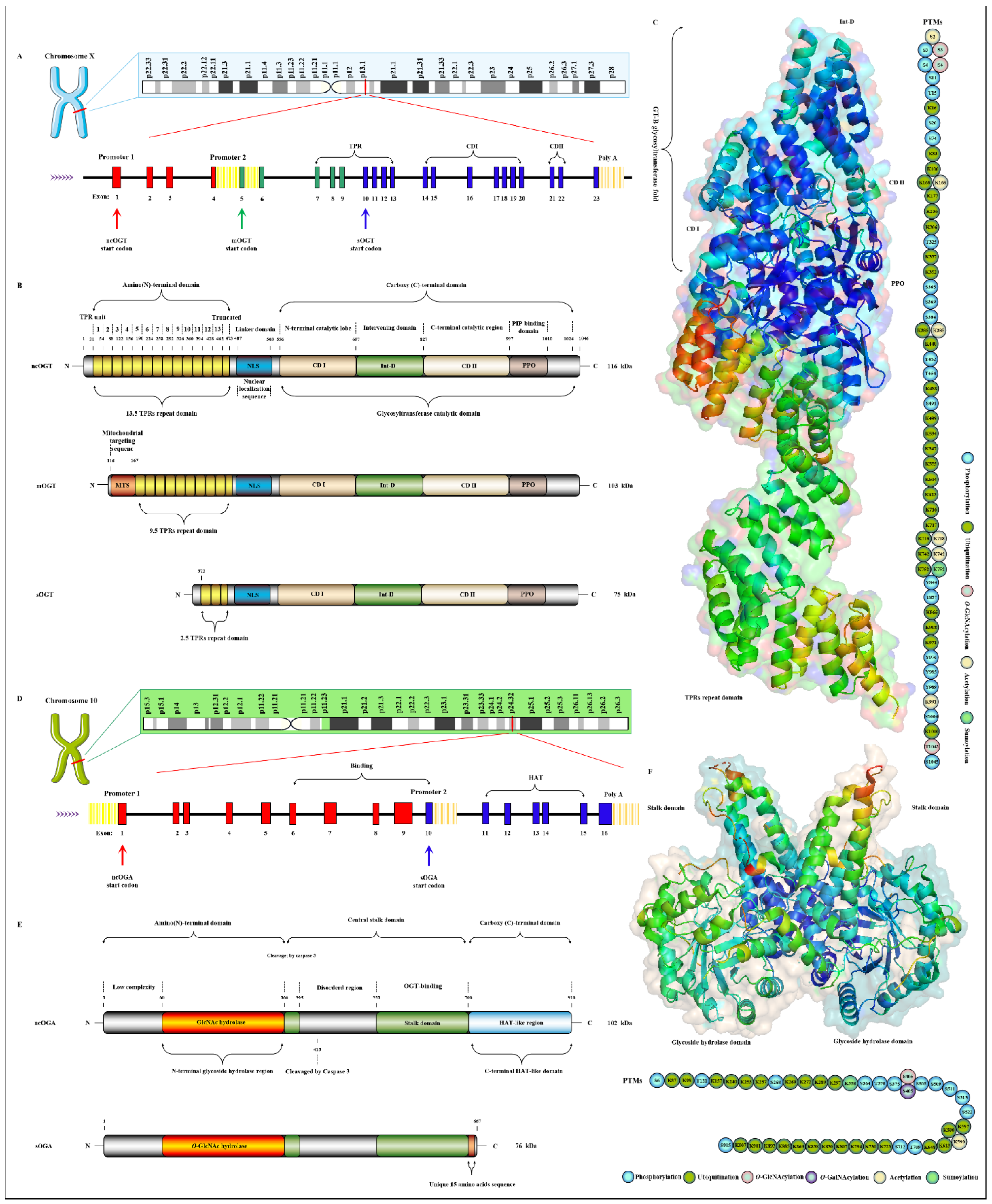 Cells 11 01789 g003 Cells 11 01789 g003