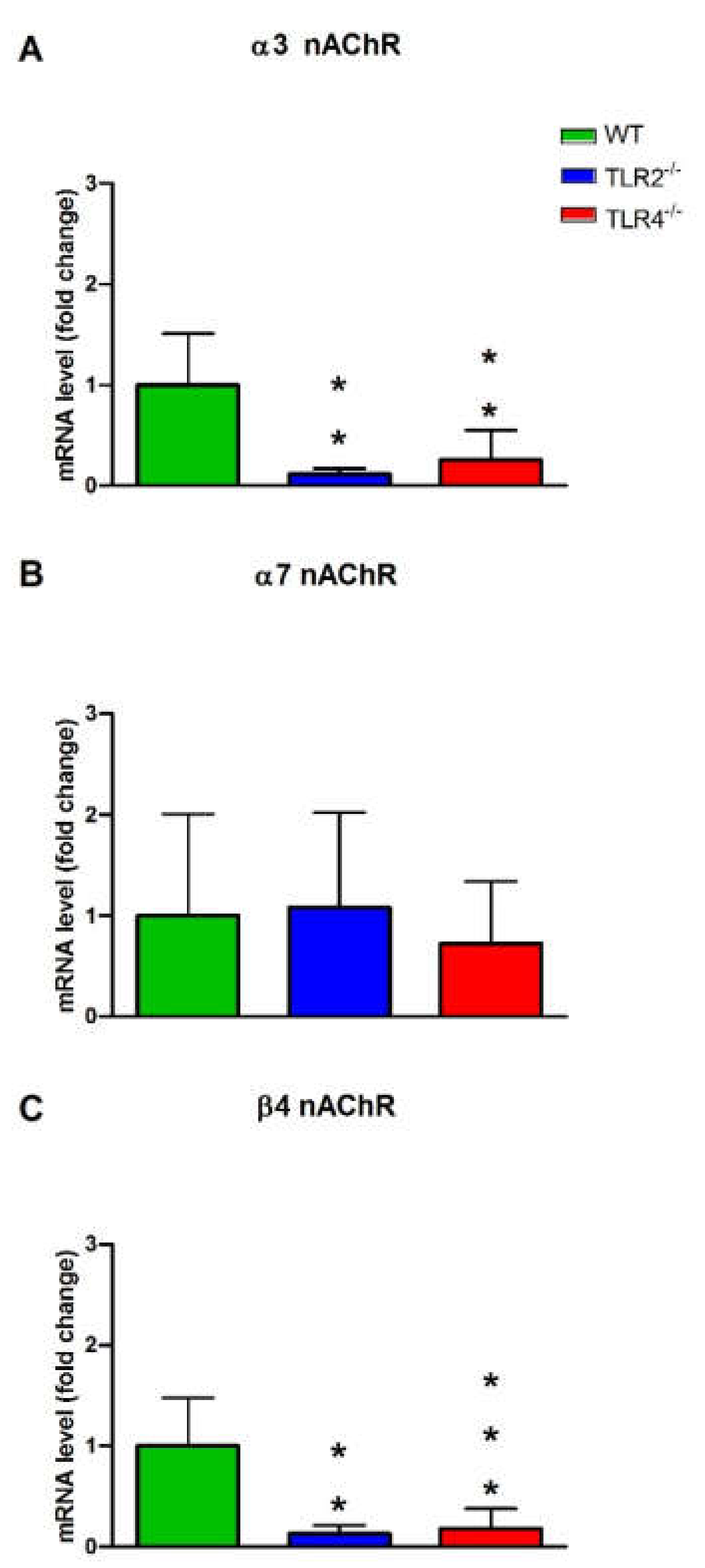 Cells 11 01791 g004 Cells 11 01791 g004