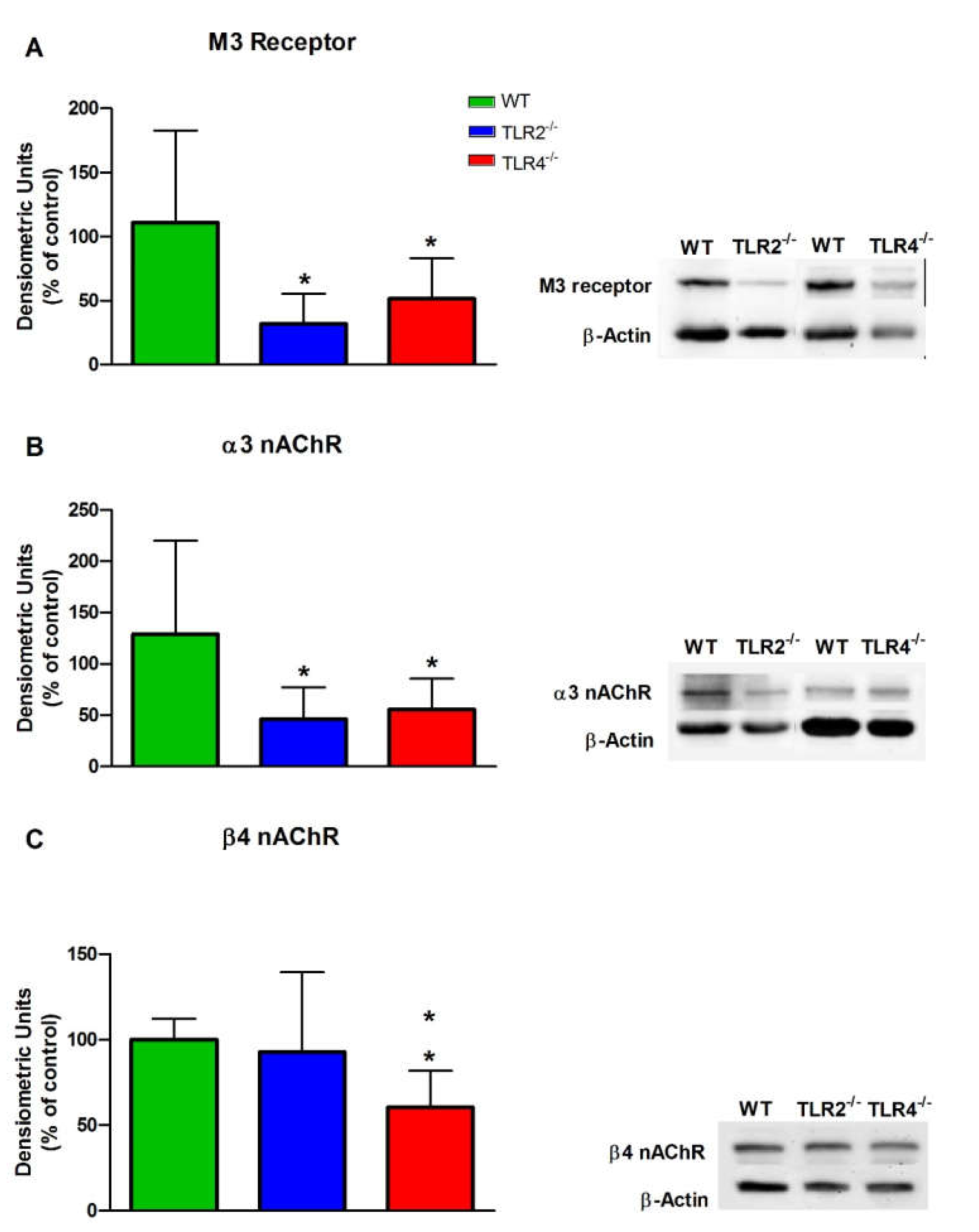 Cells 11 01791 g005 Cells 11 01791 g005