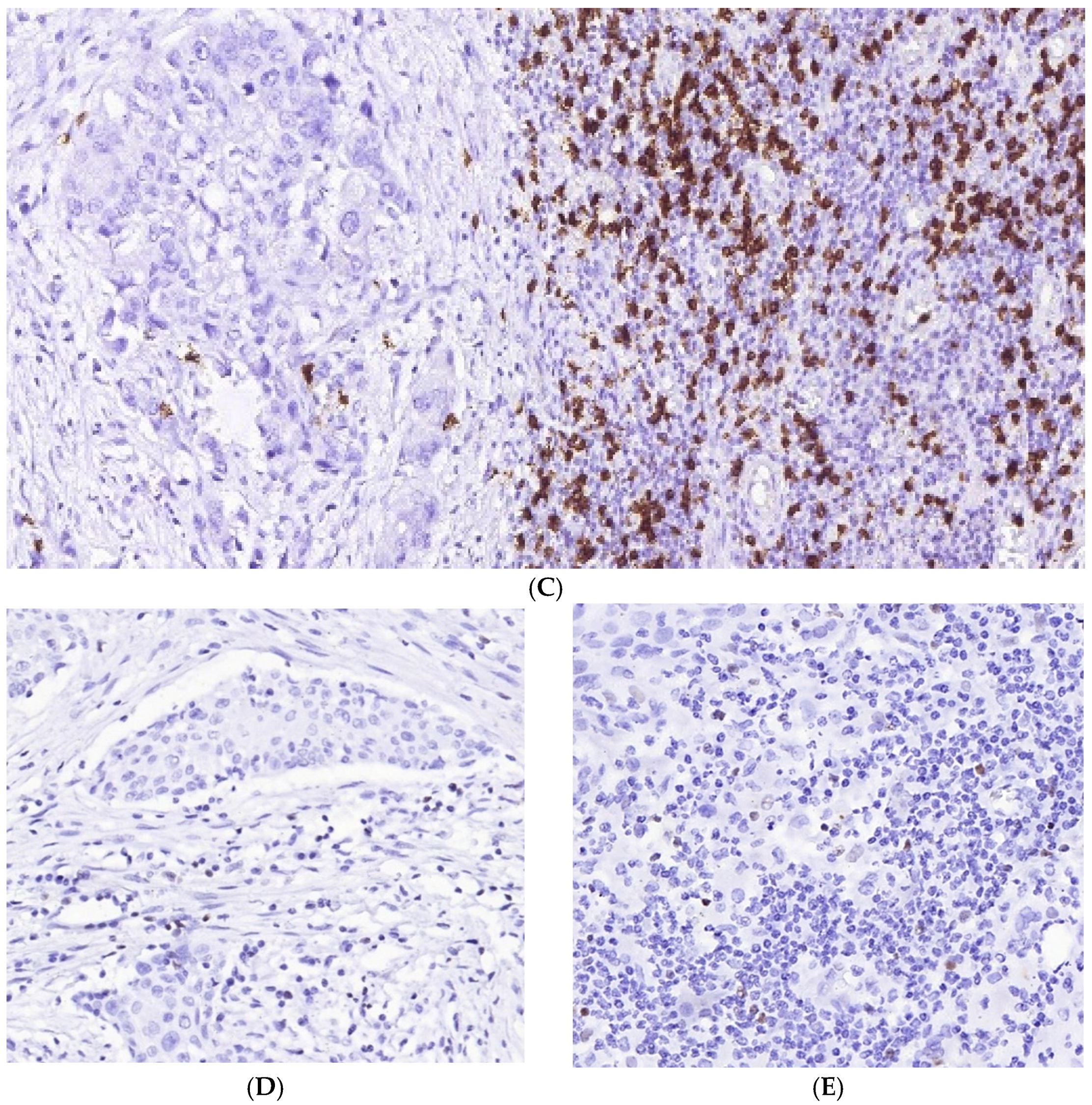 Cells 11 01802 g004b