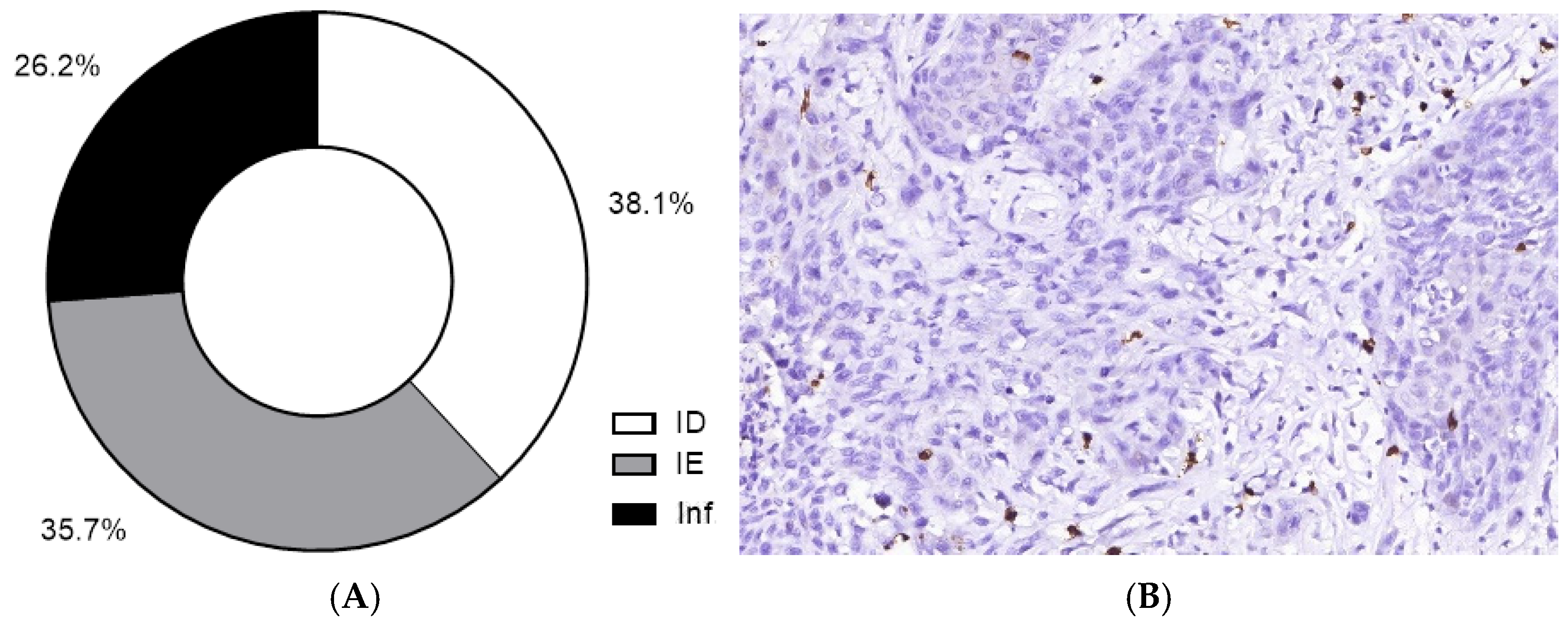 Cells 11 01802 g006a