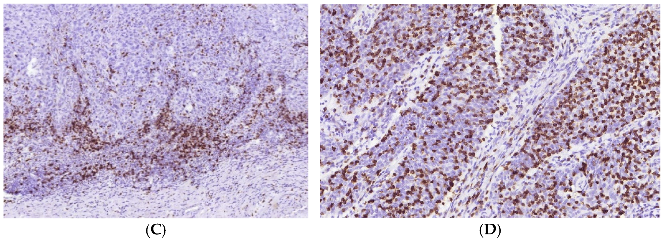 Cells 11 01802 g006b