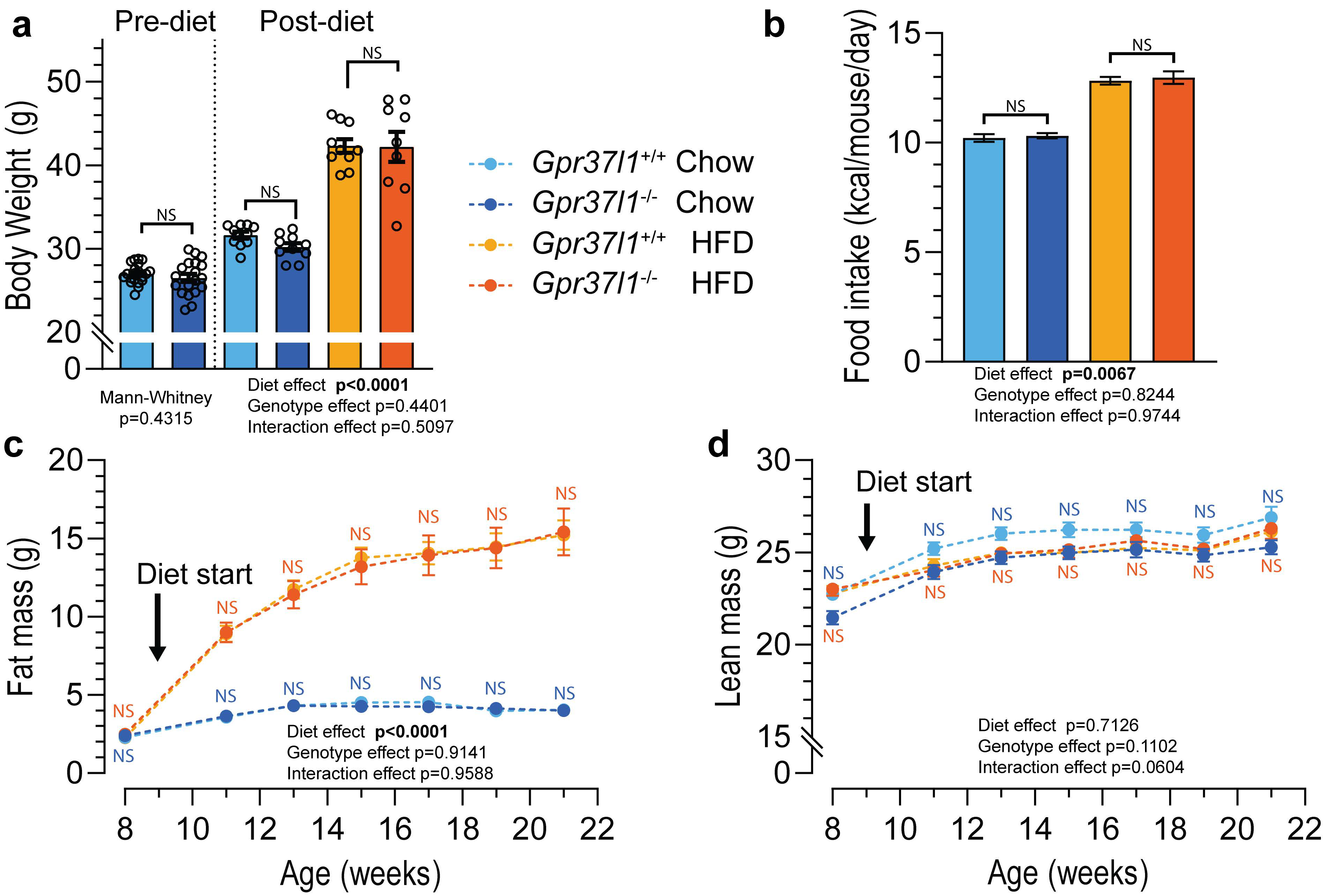 Cells 11 01814 g002 Cells 11 01814 g002