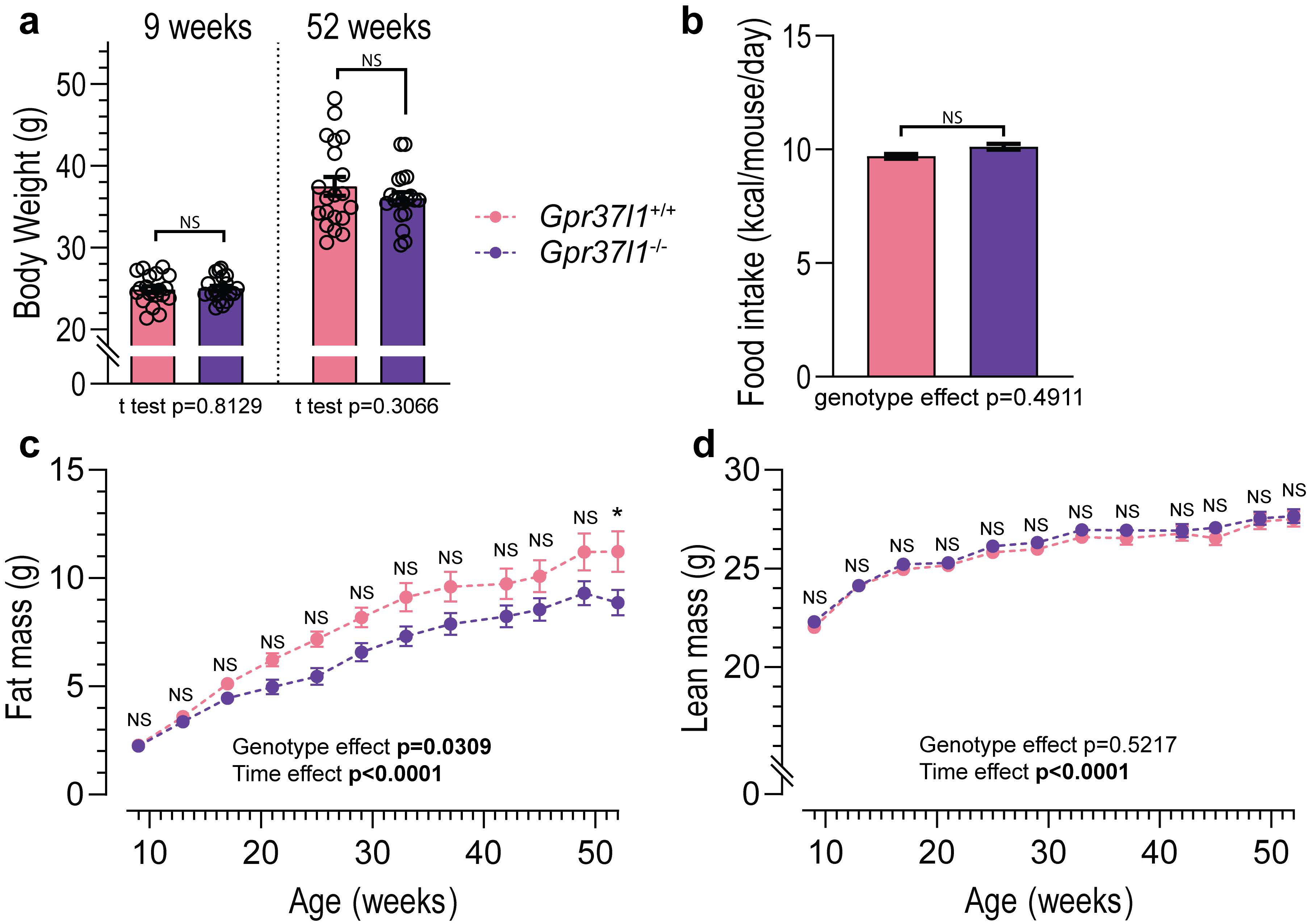 Cells 11 01814 g005 Cells 11 01814 g005