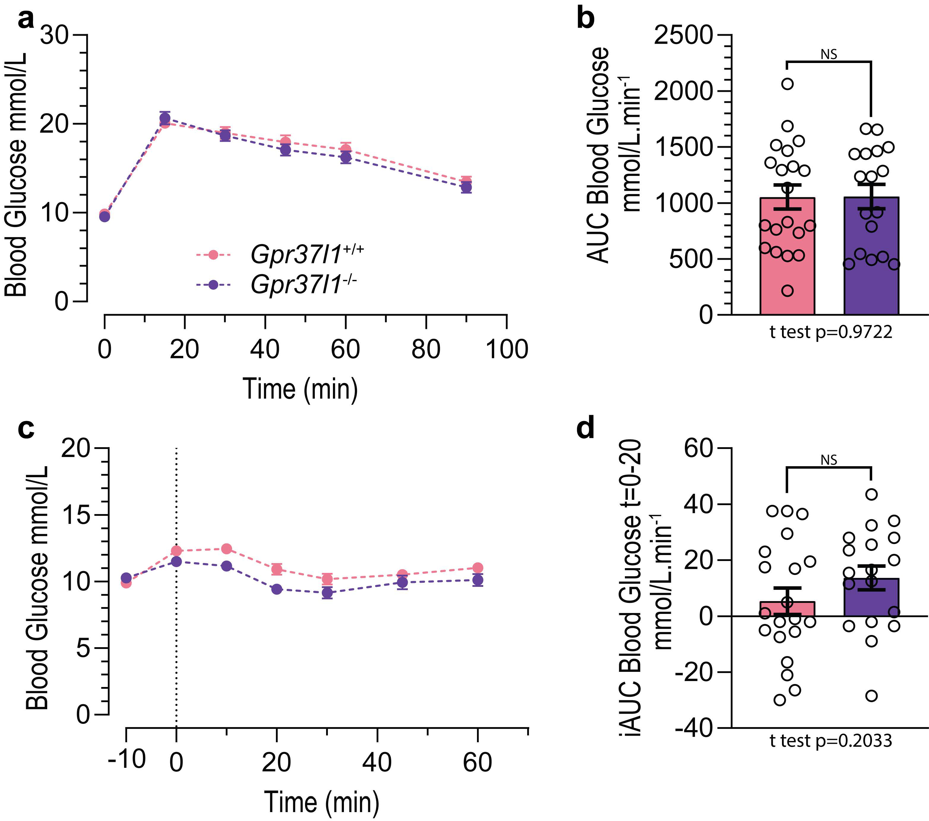 Cells 11 01814 g006 Cells 11 01814 g006