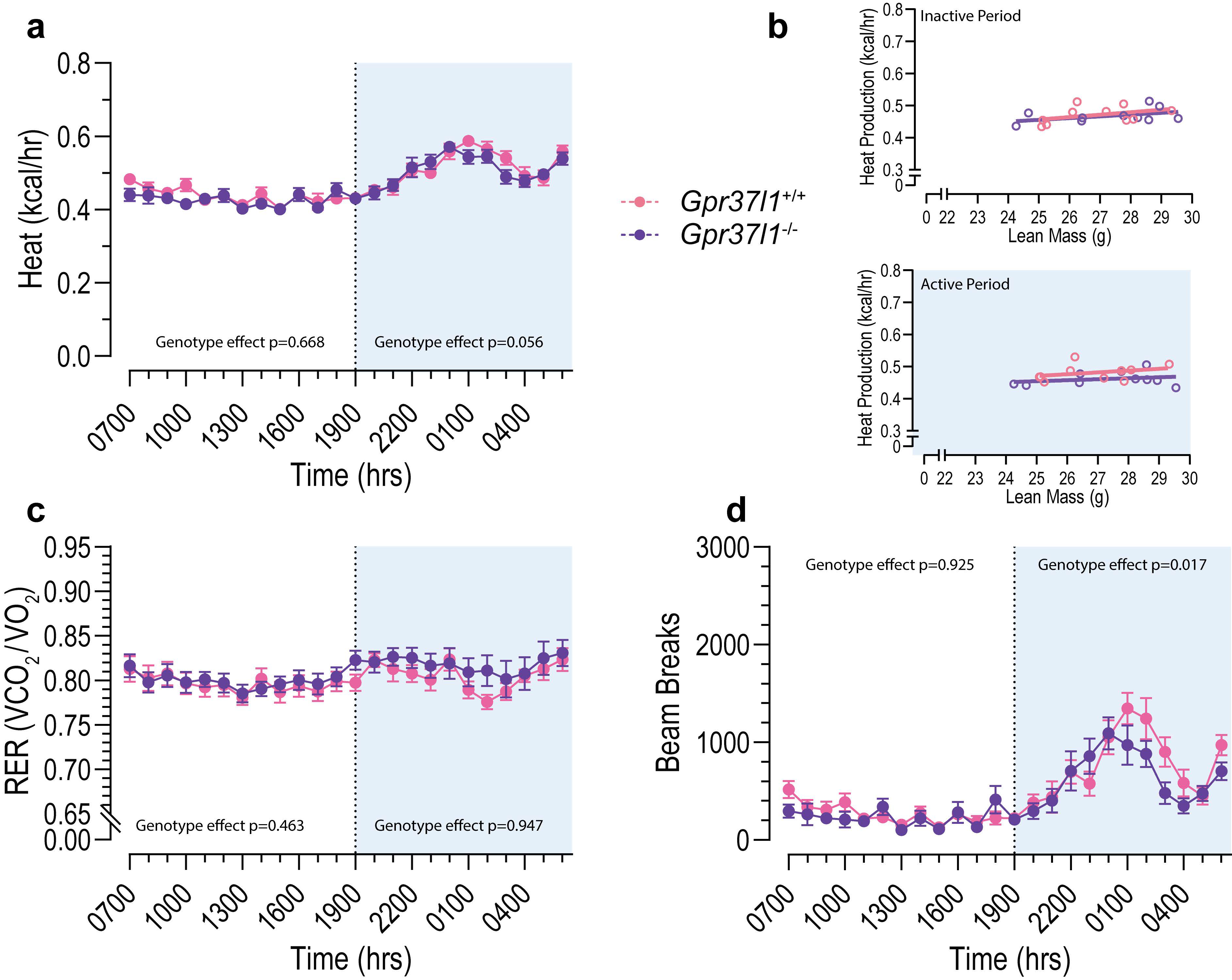 Cells 11 01814 g007 Cells 11 01814 g007