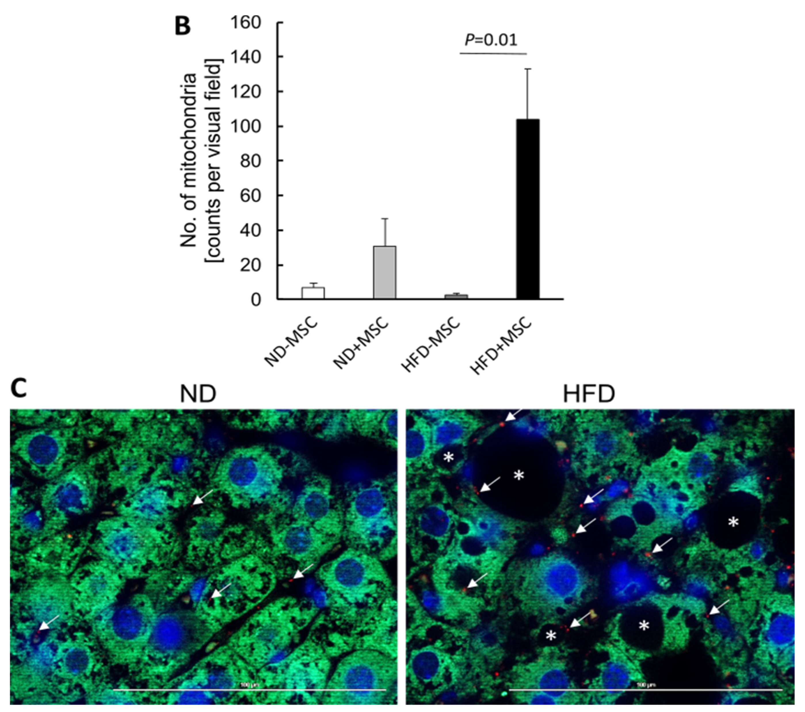 Cells 11 01829 g008b