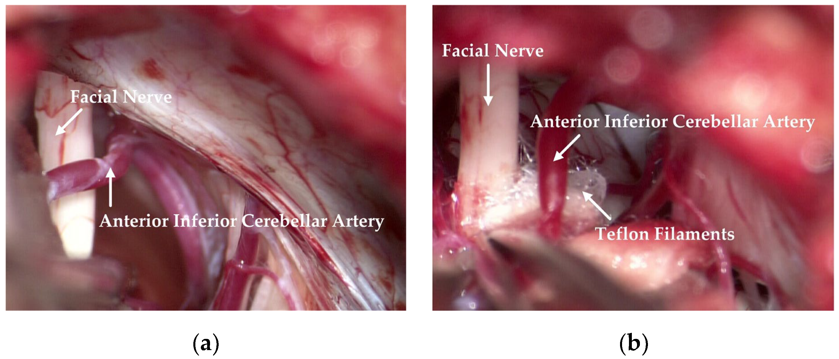 Cells 11 01830 g001 550