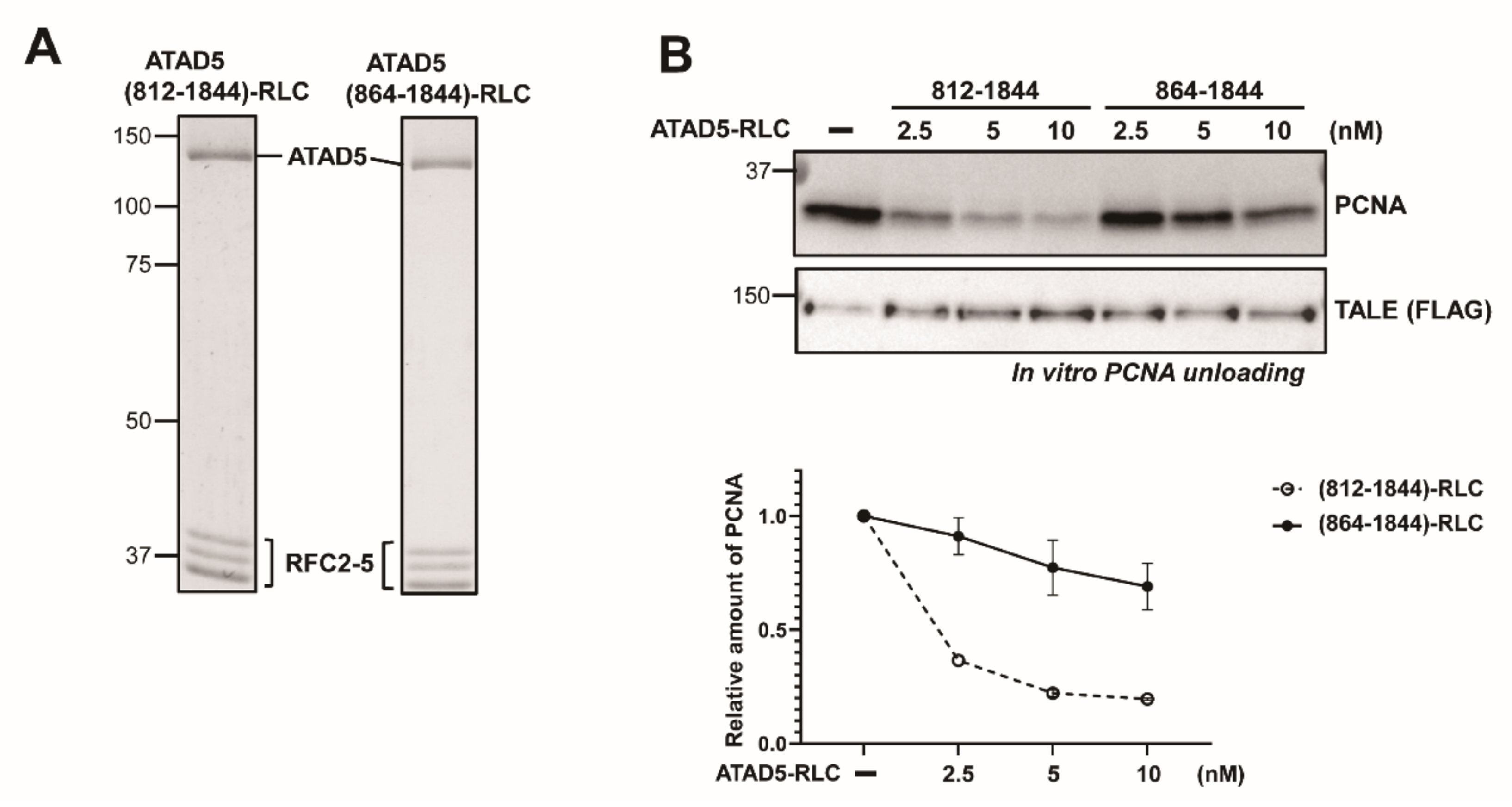 Cells 11 01832 g002 Cells 11 01832 g002