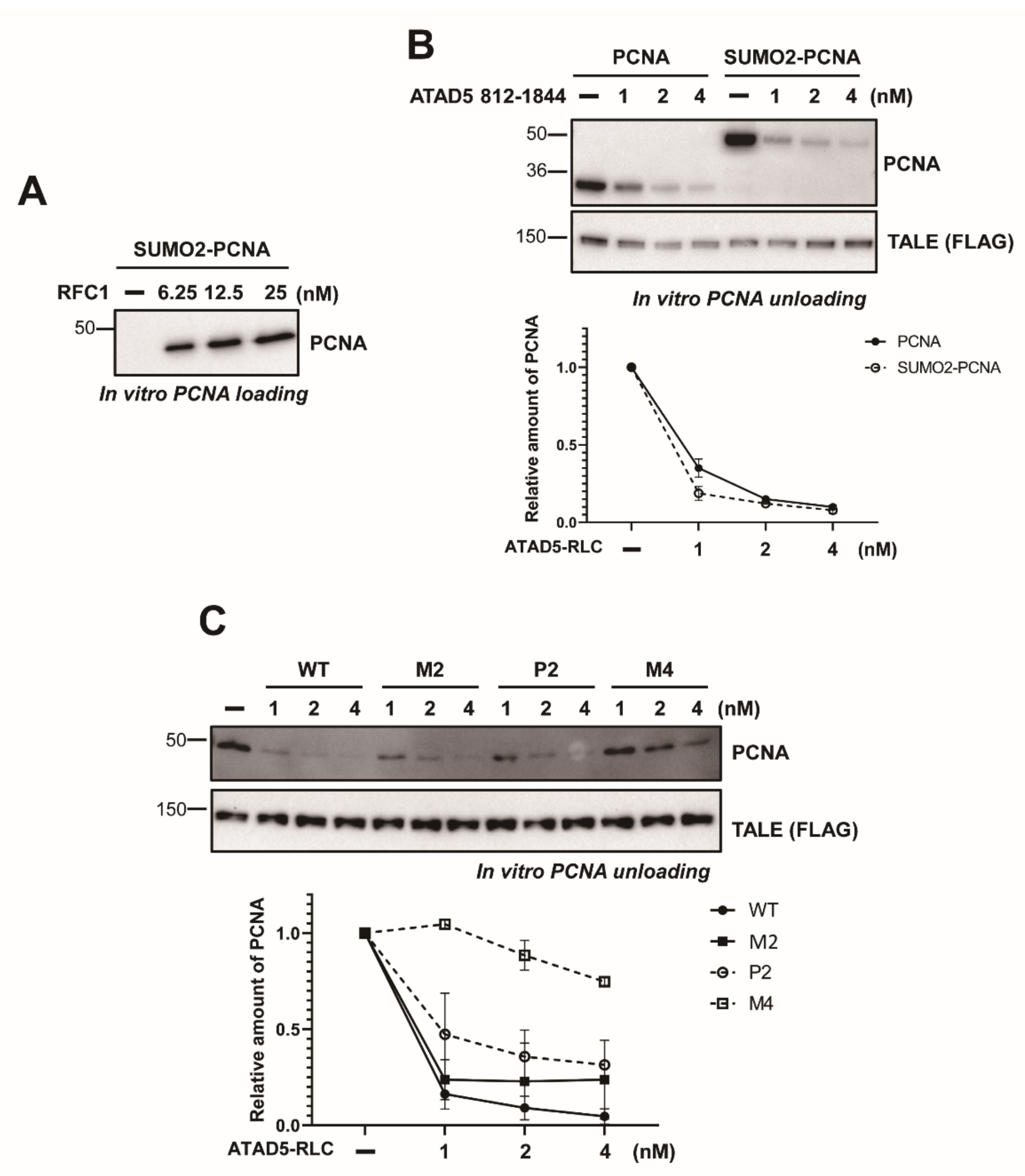 Cells 11 01832 g005 Cells 11 01832 g005