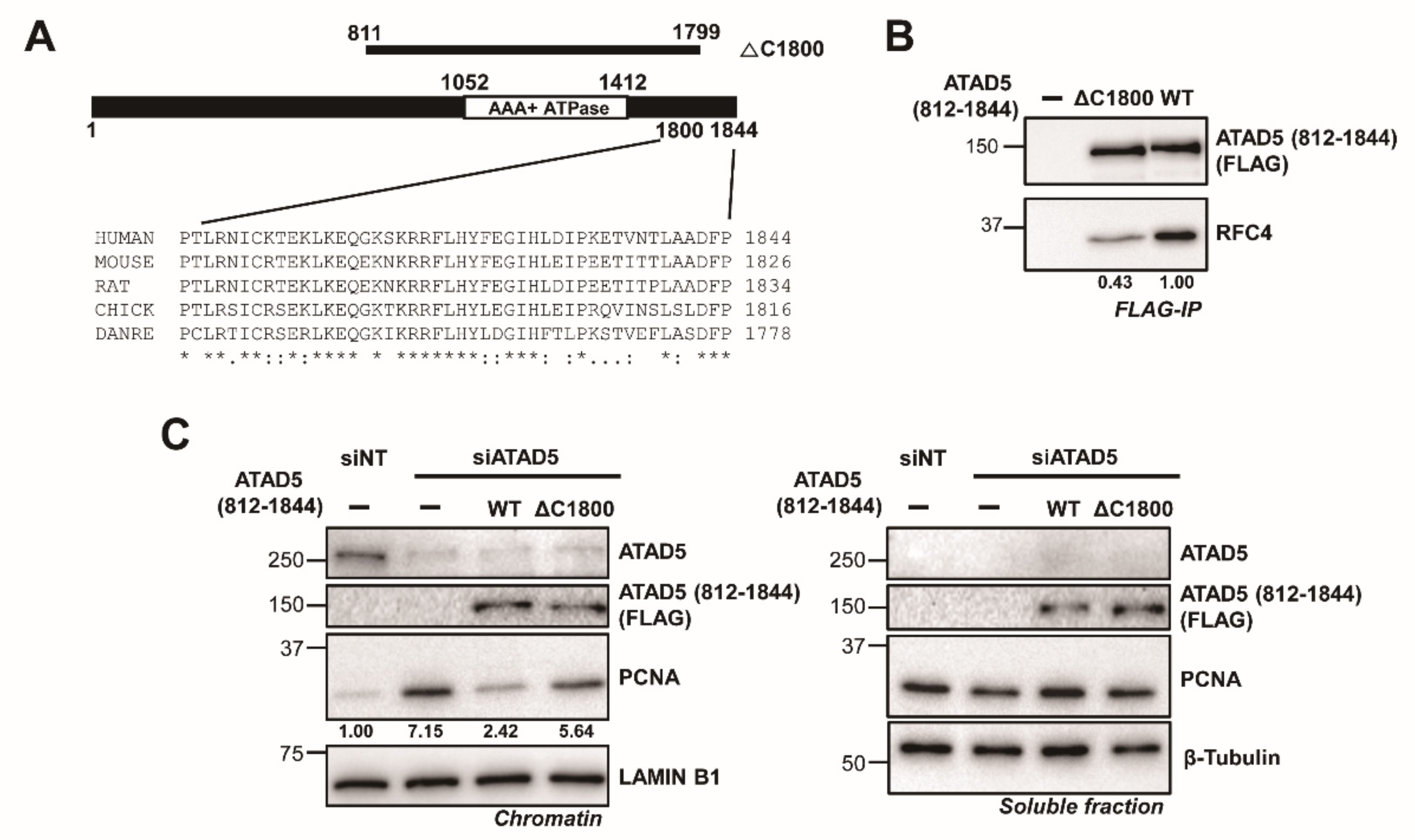 Cells 11 01832 g006 Cells 11 01832 g006