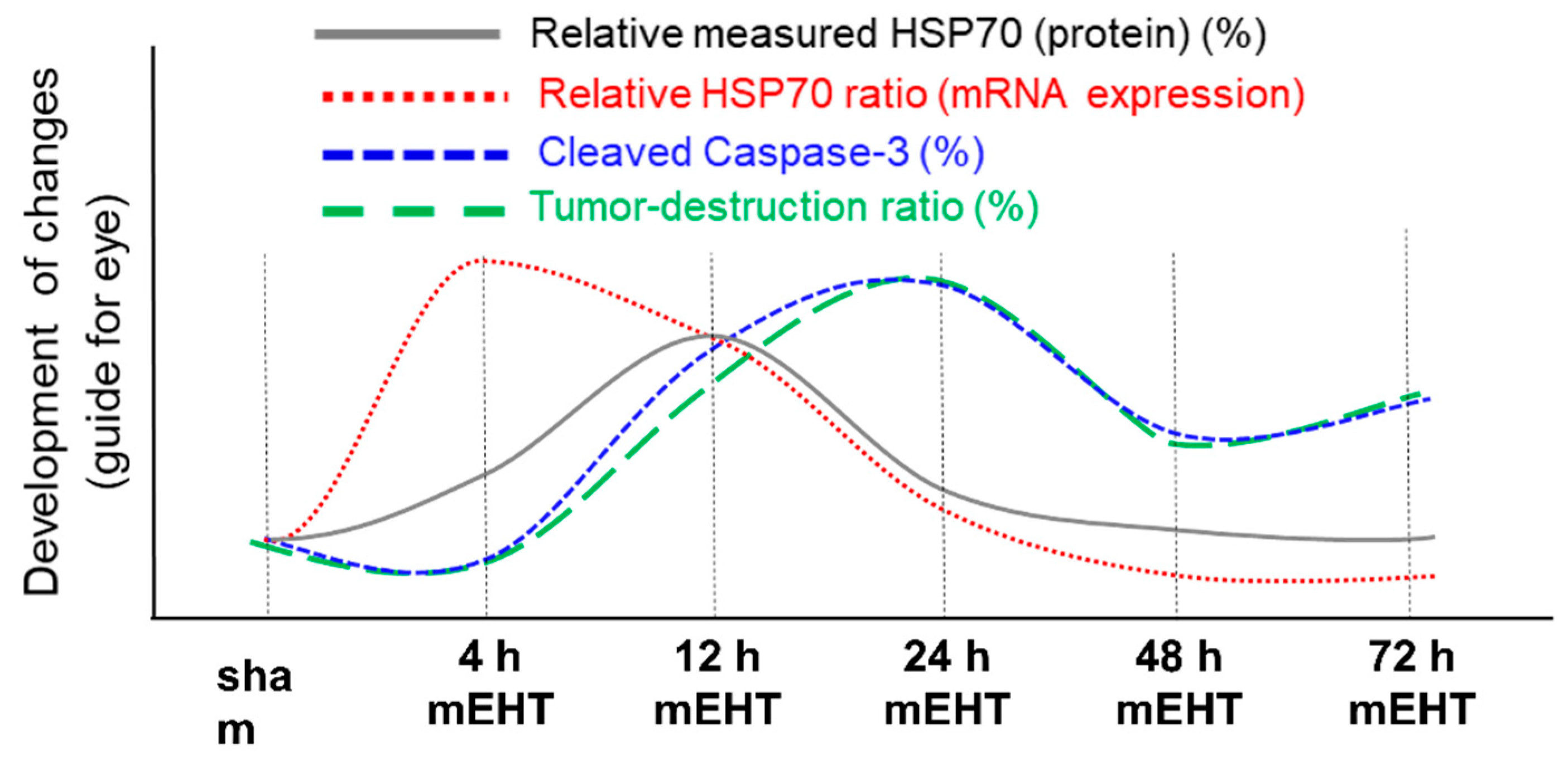 Cells 11 01838 g011 Cells 11 01838 g011