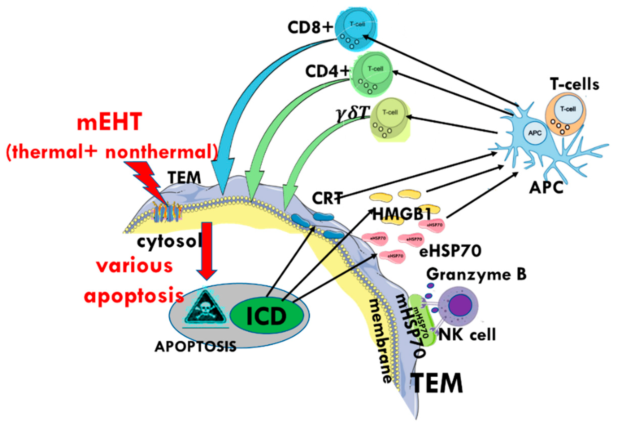 Cells 11 01838 g020 Cells 11 01838 g020