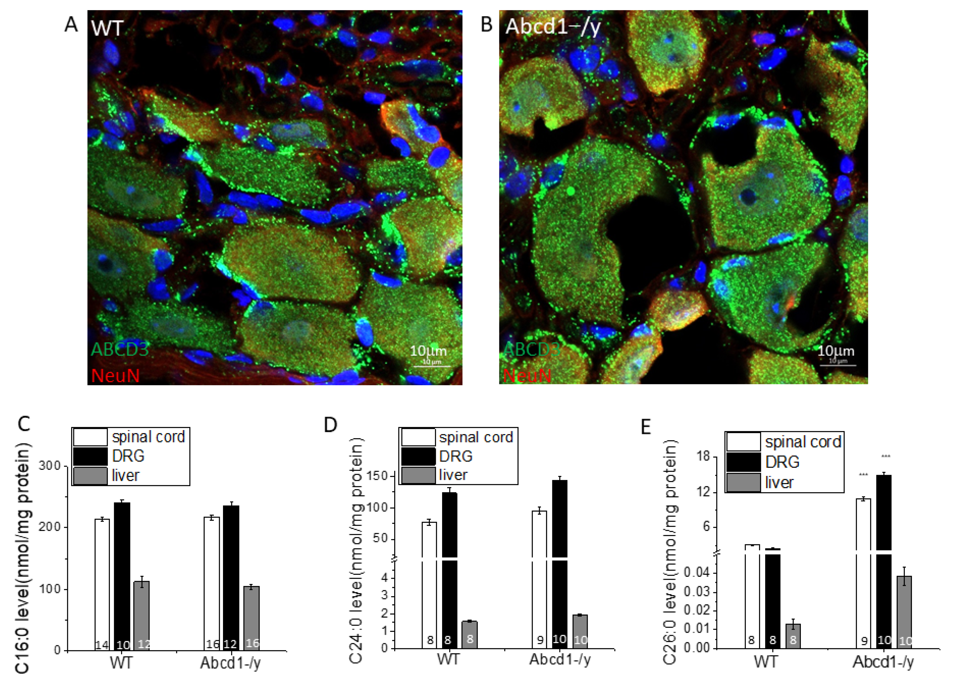 Cells 11 01842 g003 550