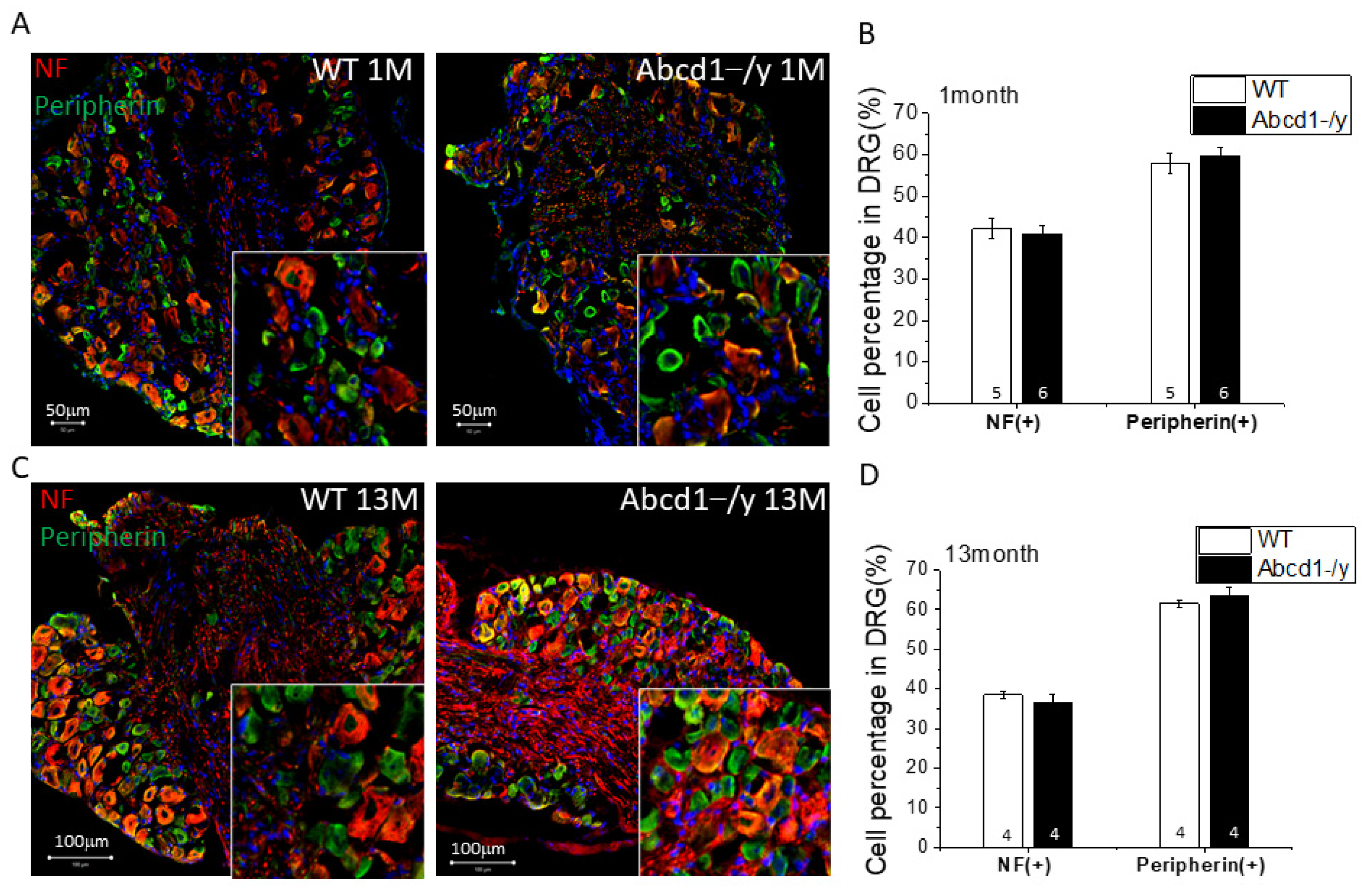 Cells 11 01842 g004a 550