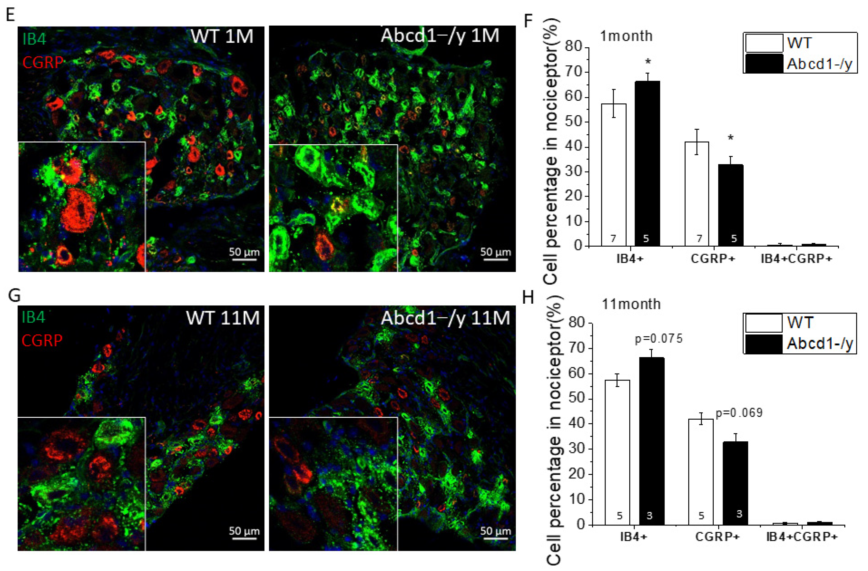 Cells 11 01842 g004b 550