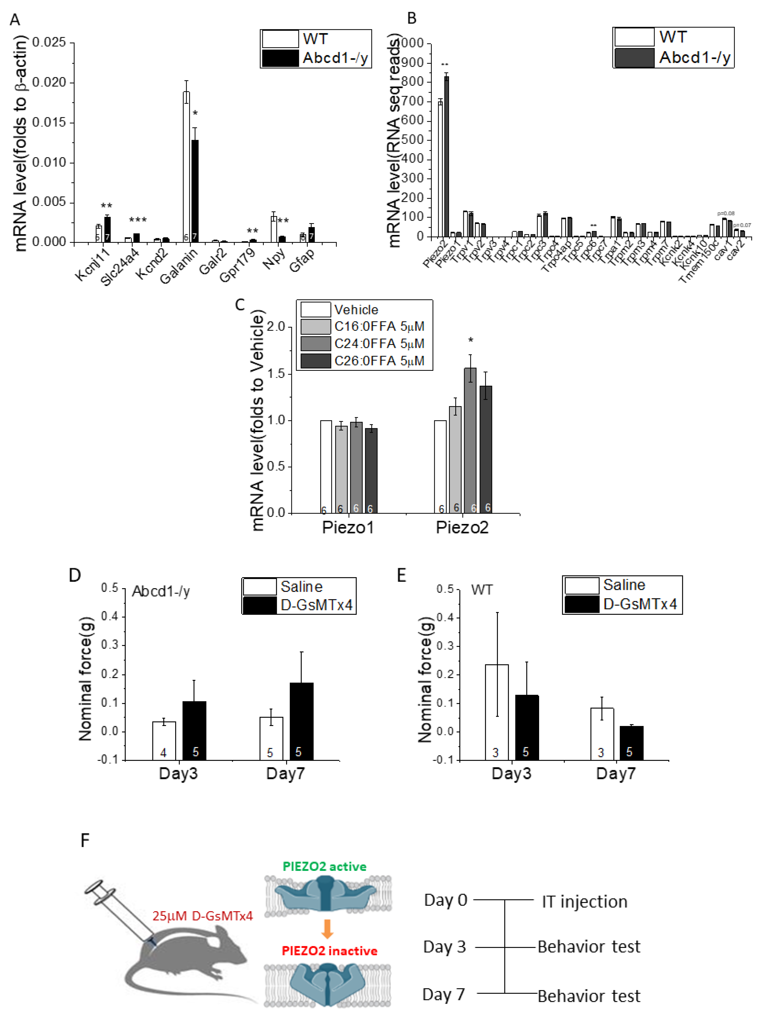 Cells 11 01842 g005 550