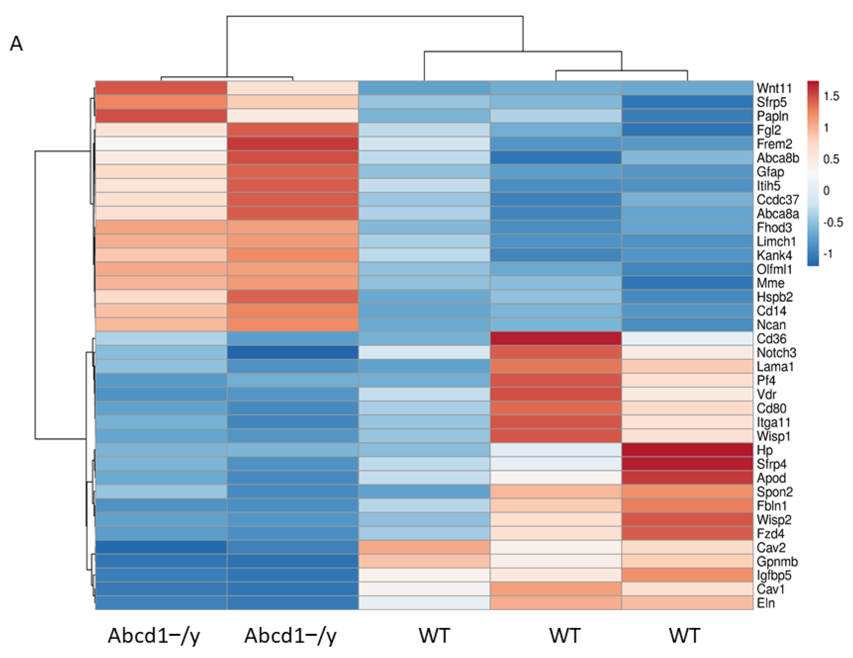 Cells 11 01842 g008a 550
