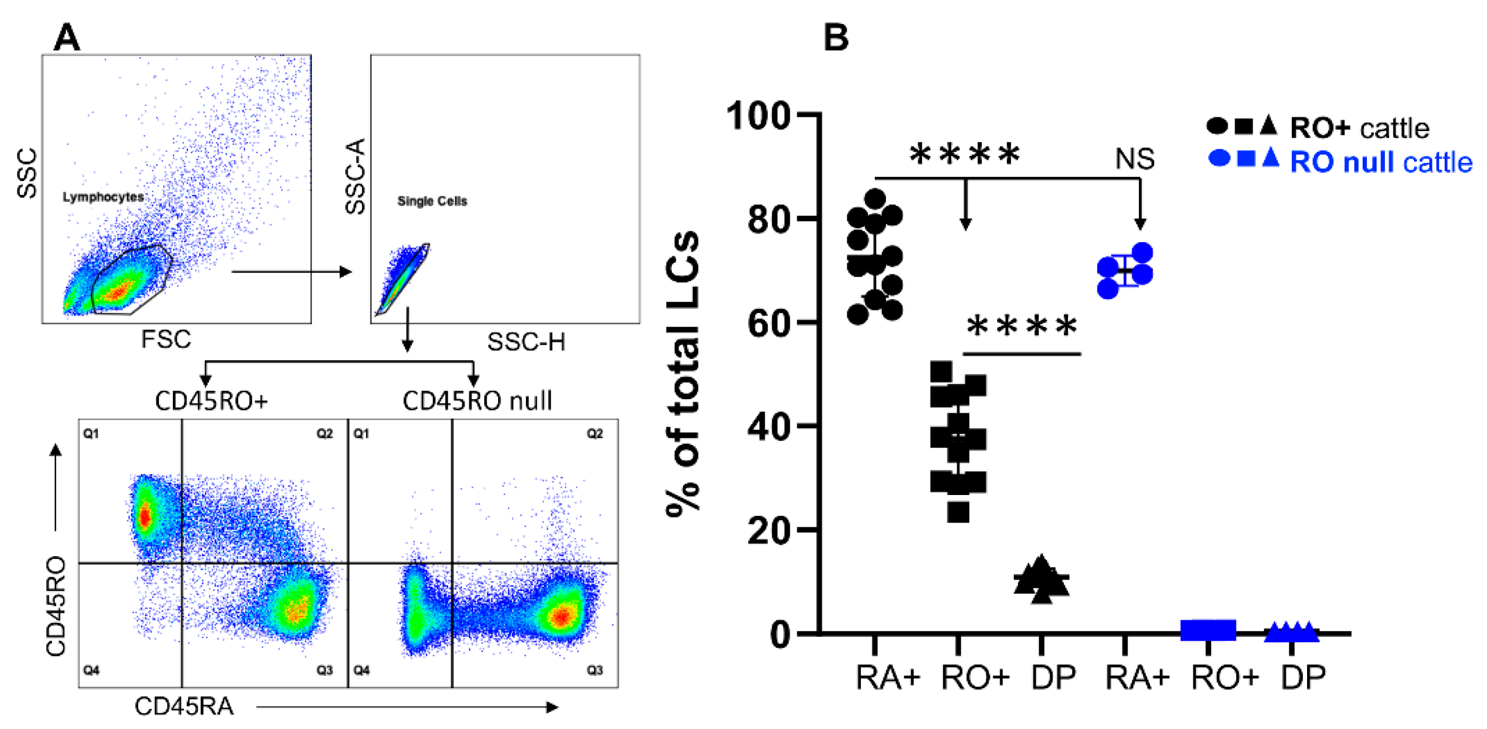Differential Expression of CD45RO and CD45RA in Bovine T Cells