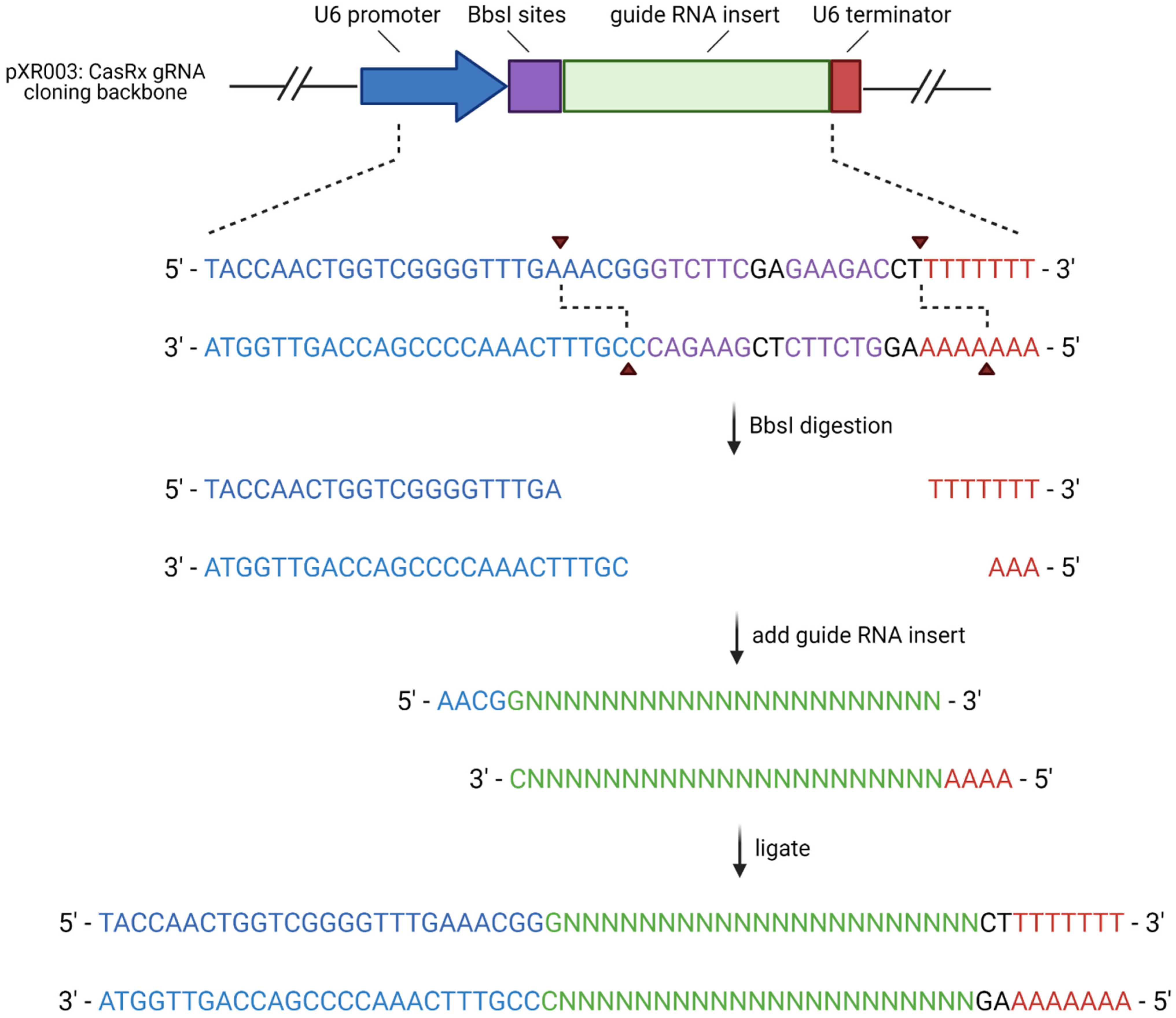 Cells 11 01859 g002 550