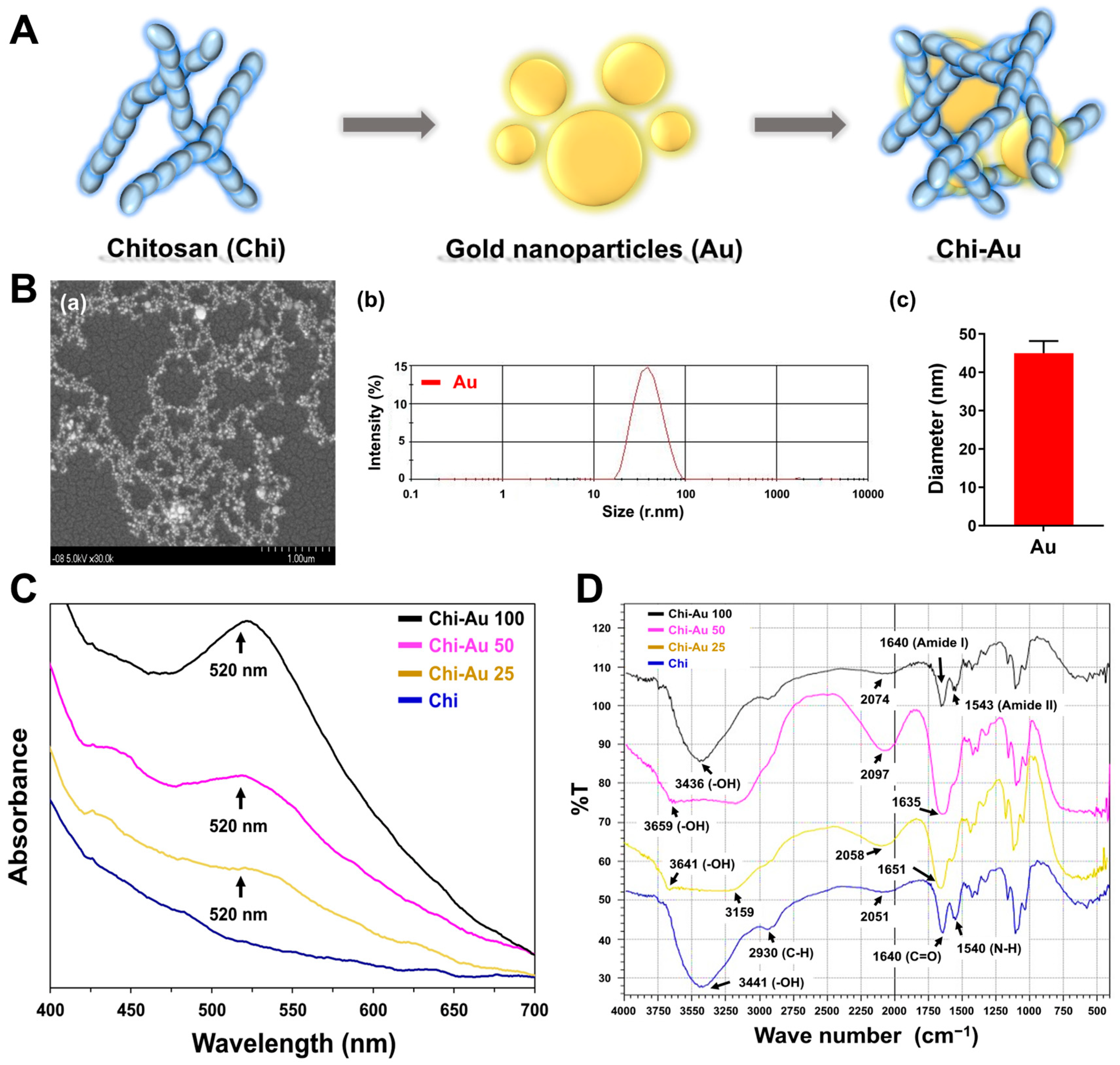Cells 11 01861 g001 550