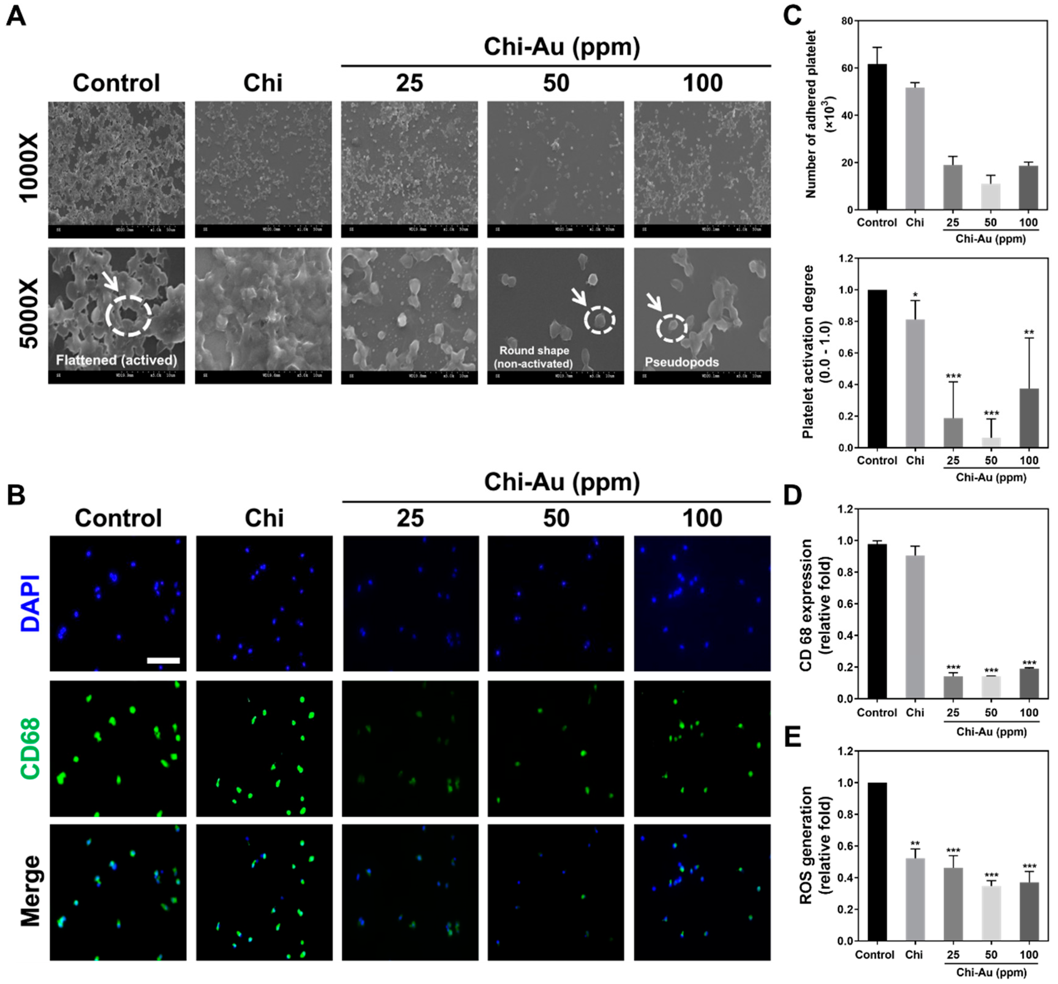 Cells 11 01861 g003 550
