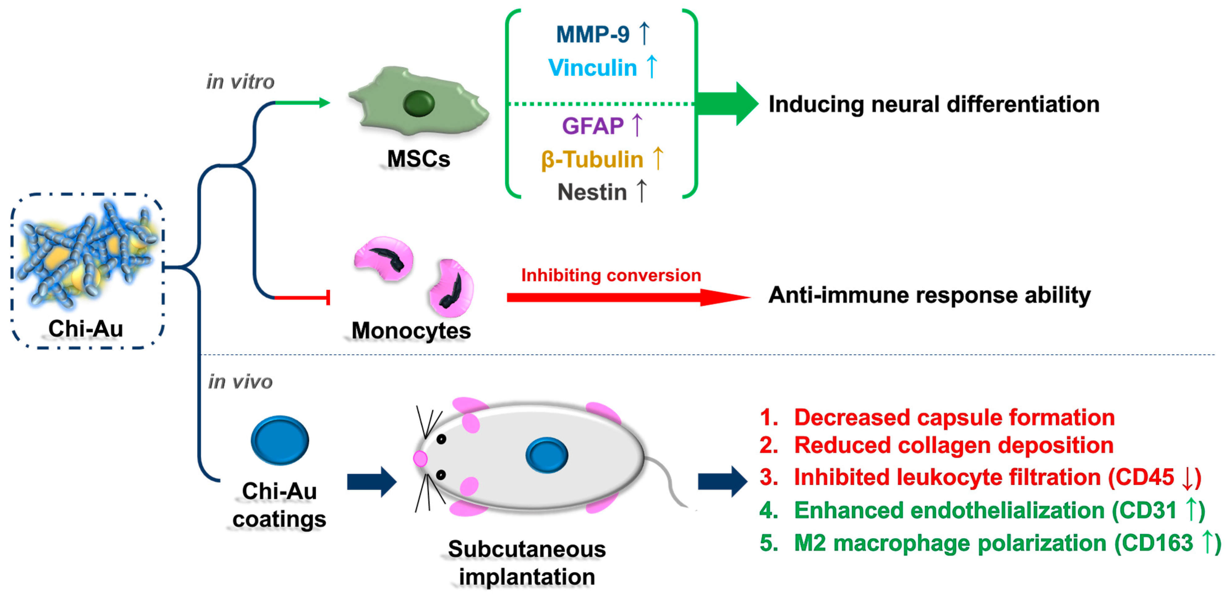 Cells 11 01861 g009 550