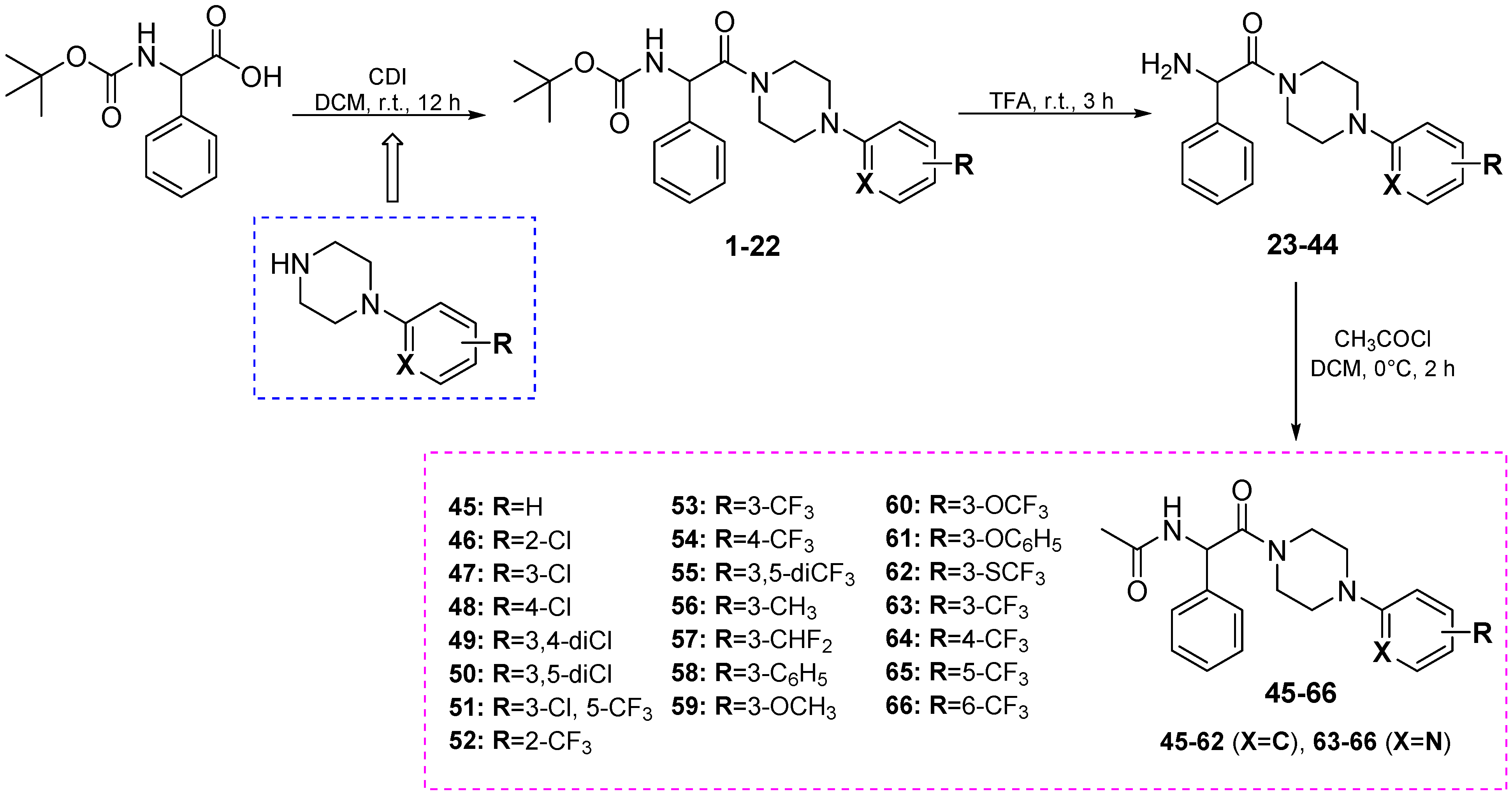 Cells 11 01862 sch002 Cells 11 01862 sch002
