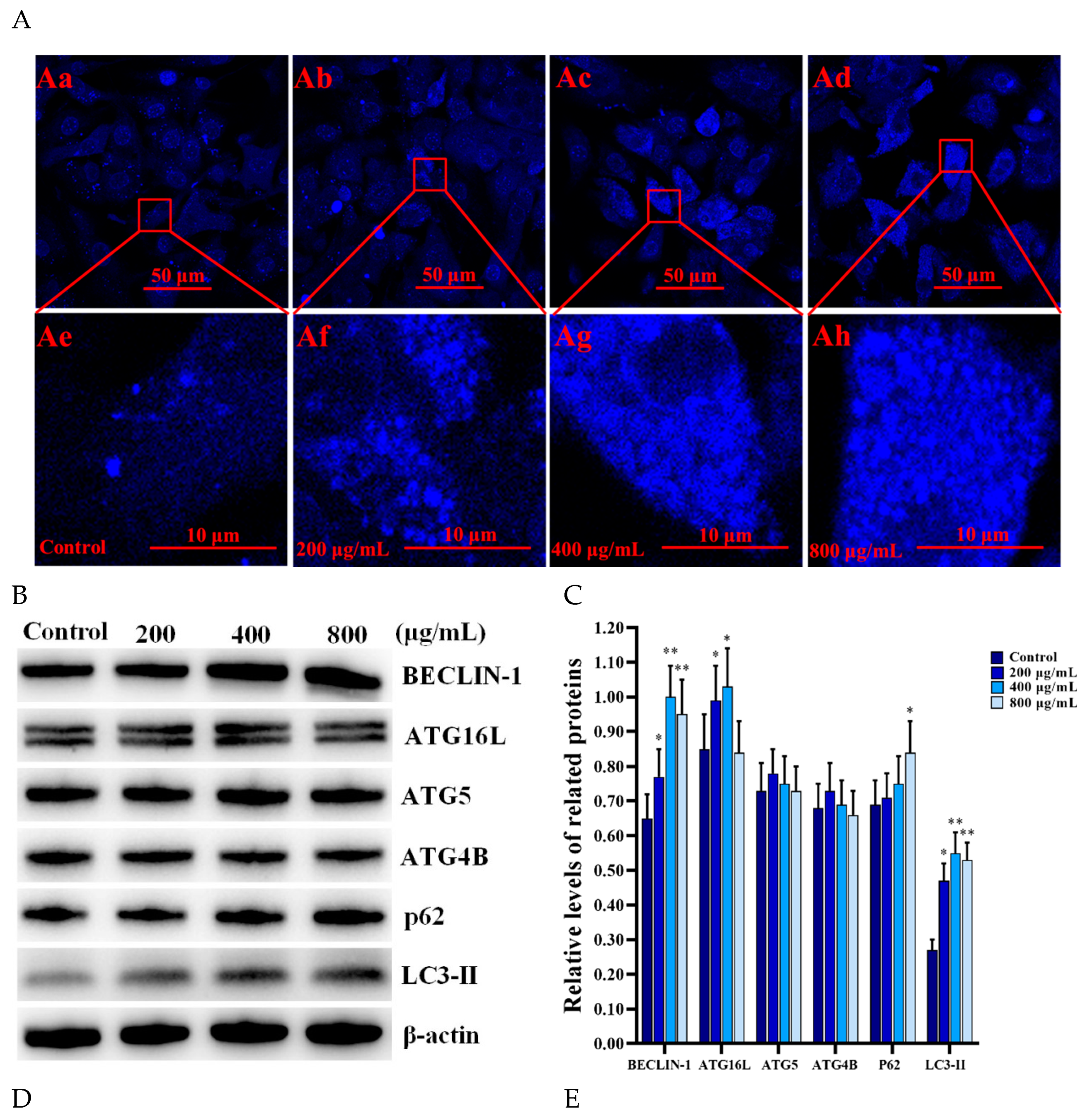 Cells 11 01863 g005a Cells 11 01863 g005a