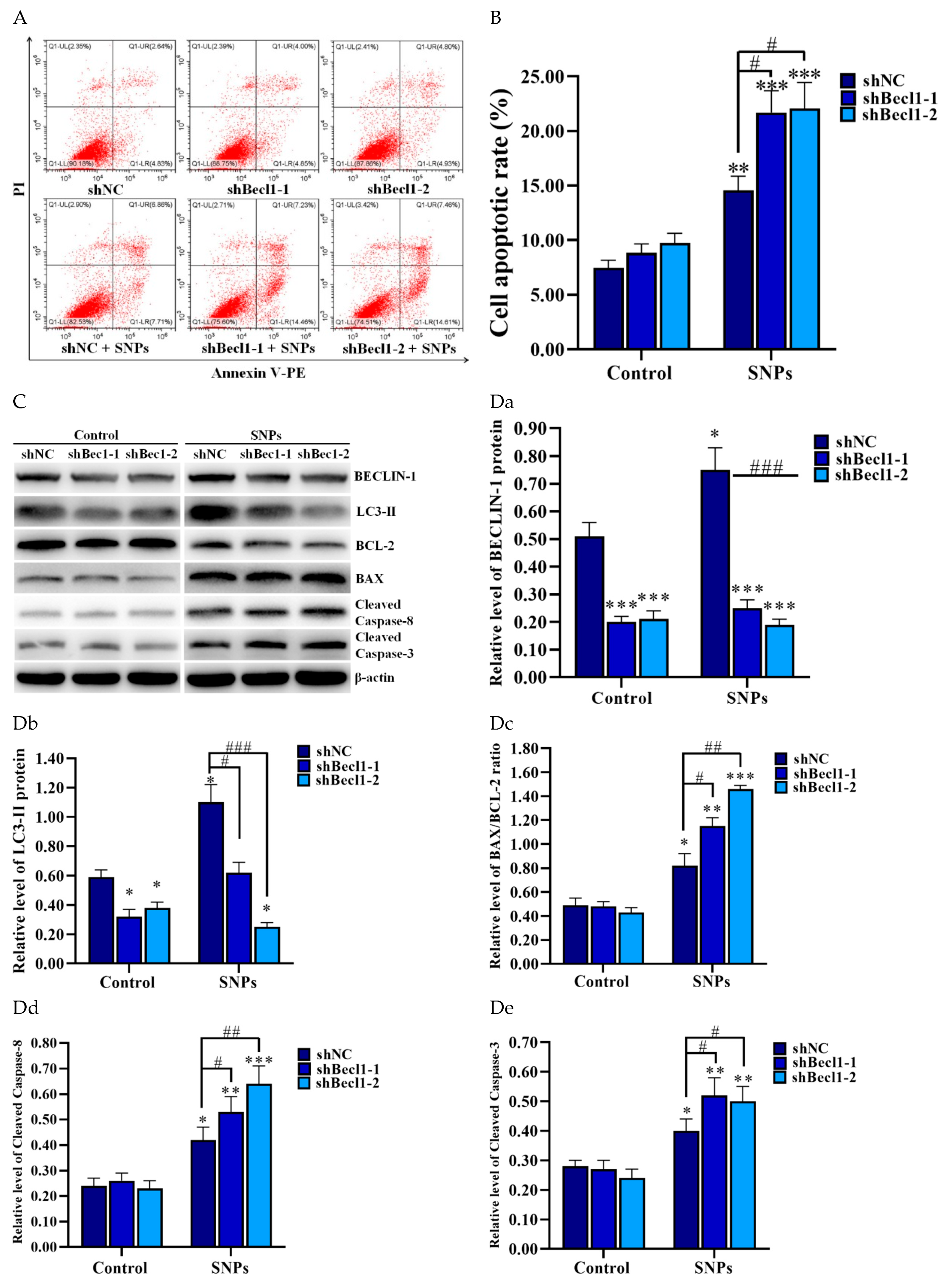 Cells 11 01863 g007 Cells 11 01863 g007