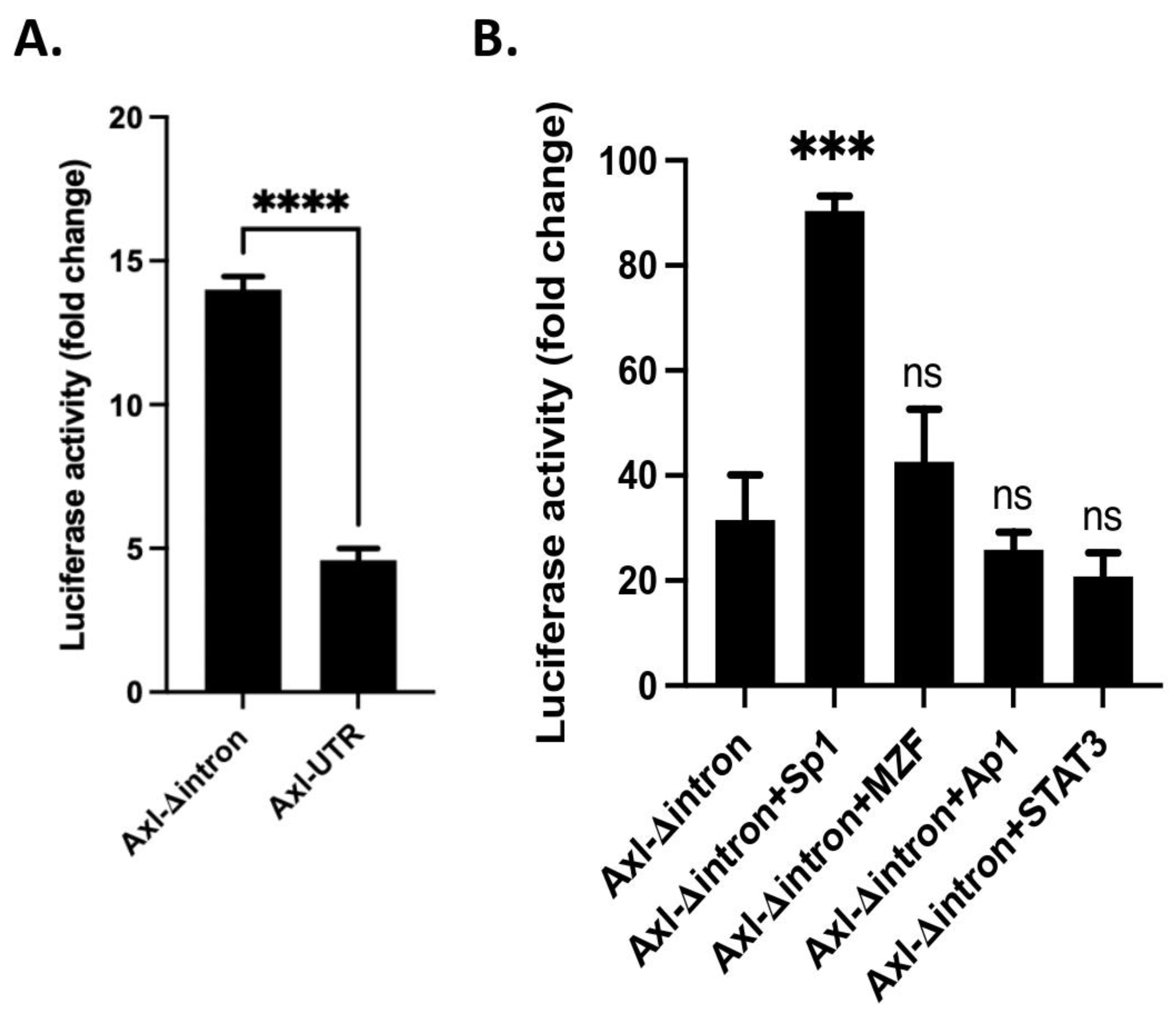Cells 11 01869 g003 Cells 11 01869 g003