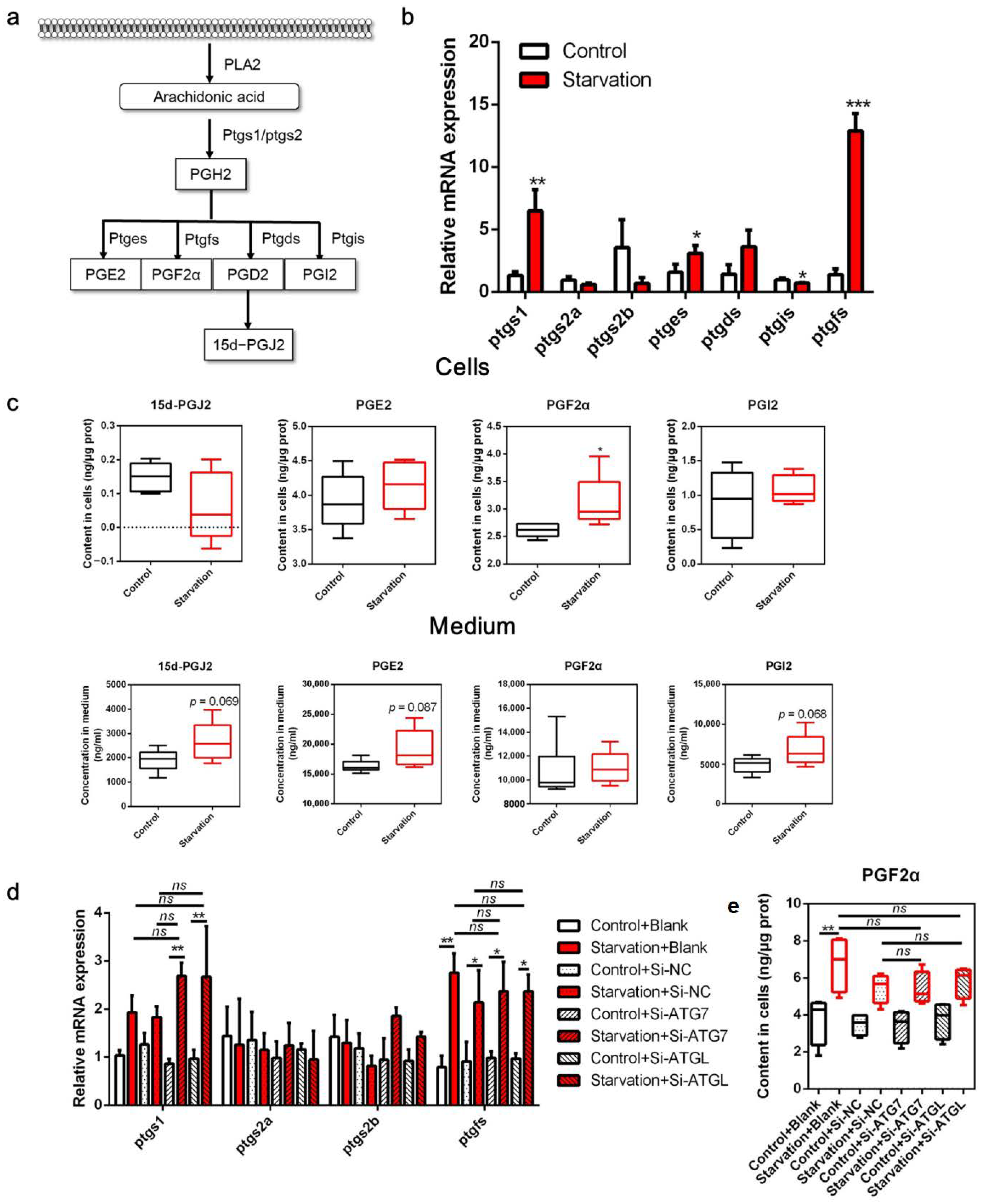 Cells 11 01870 g002 Cells 11 01870 g002
