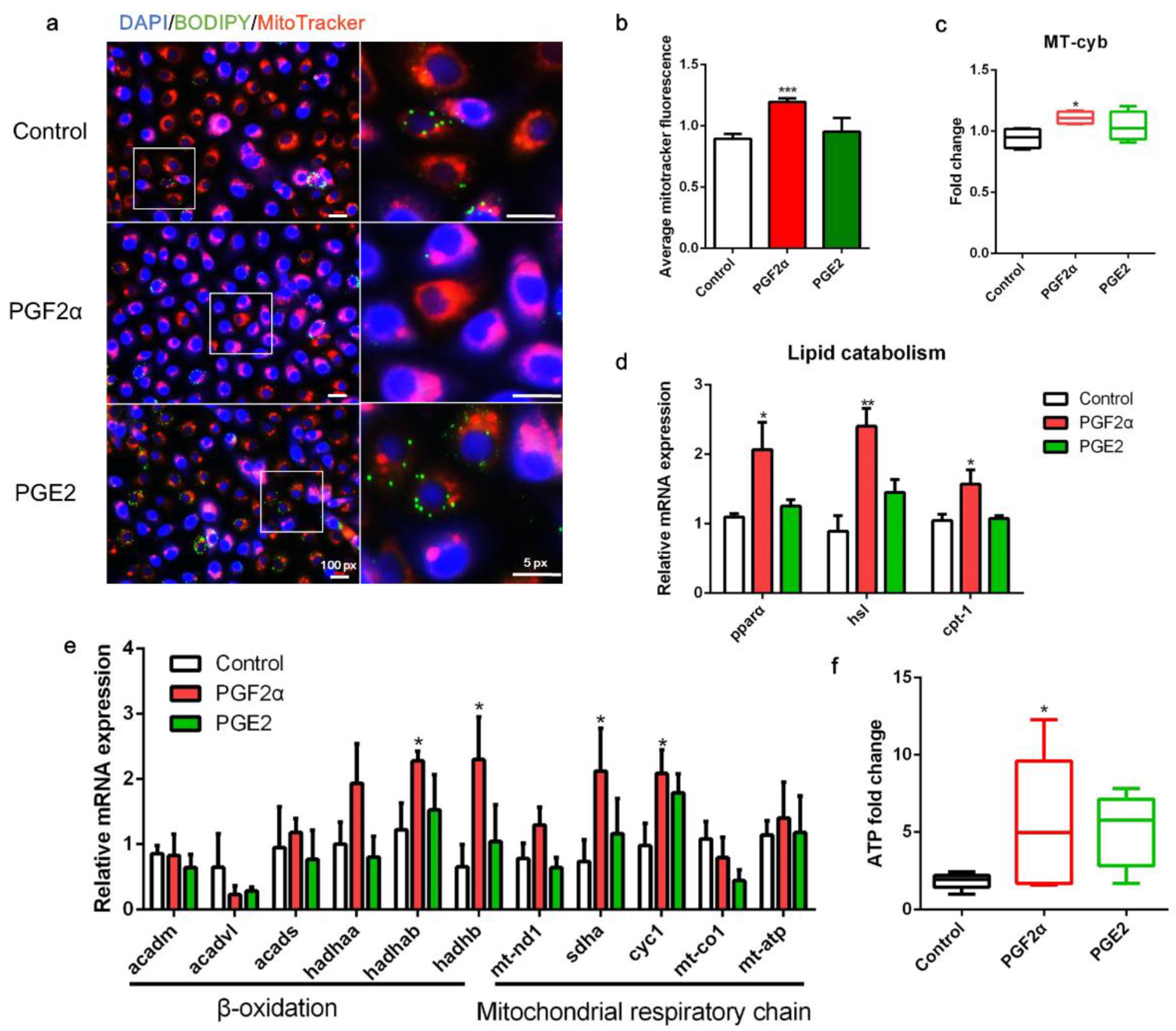Cells 11 01870 g005 Cells 11 01870 g005