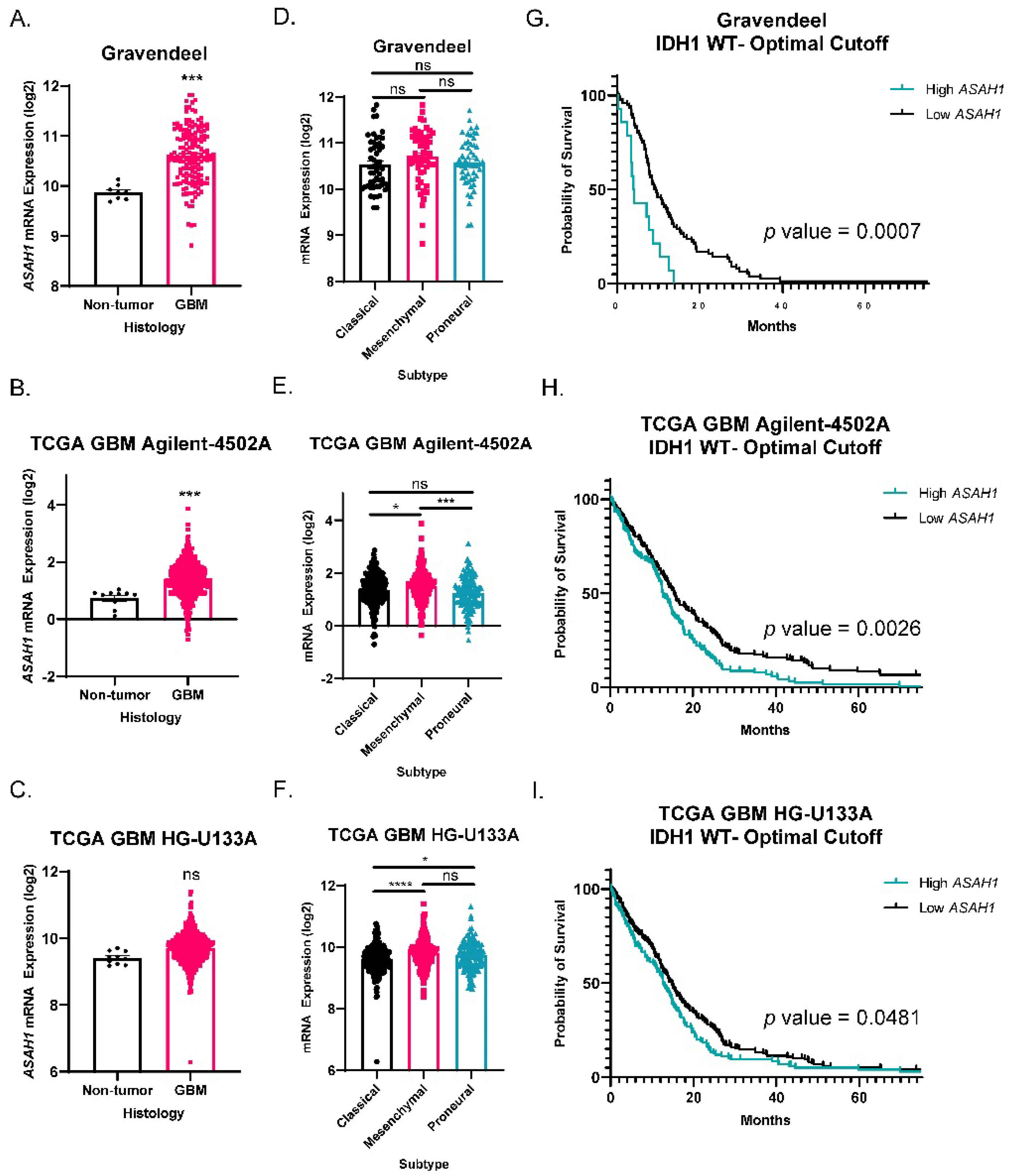 Cells 11 01873 g001 550
