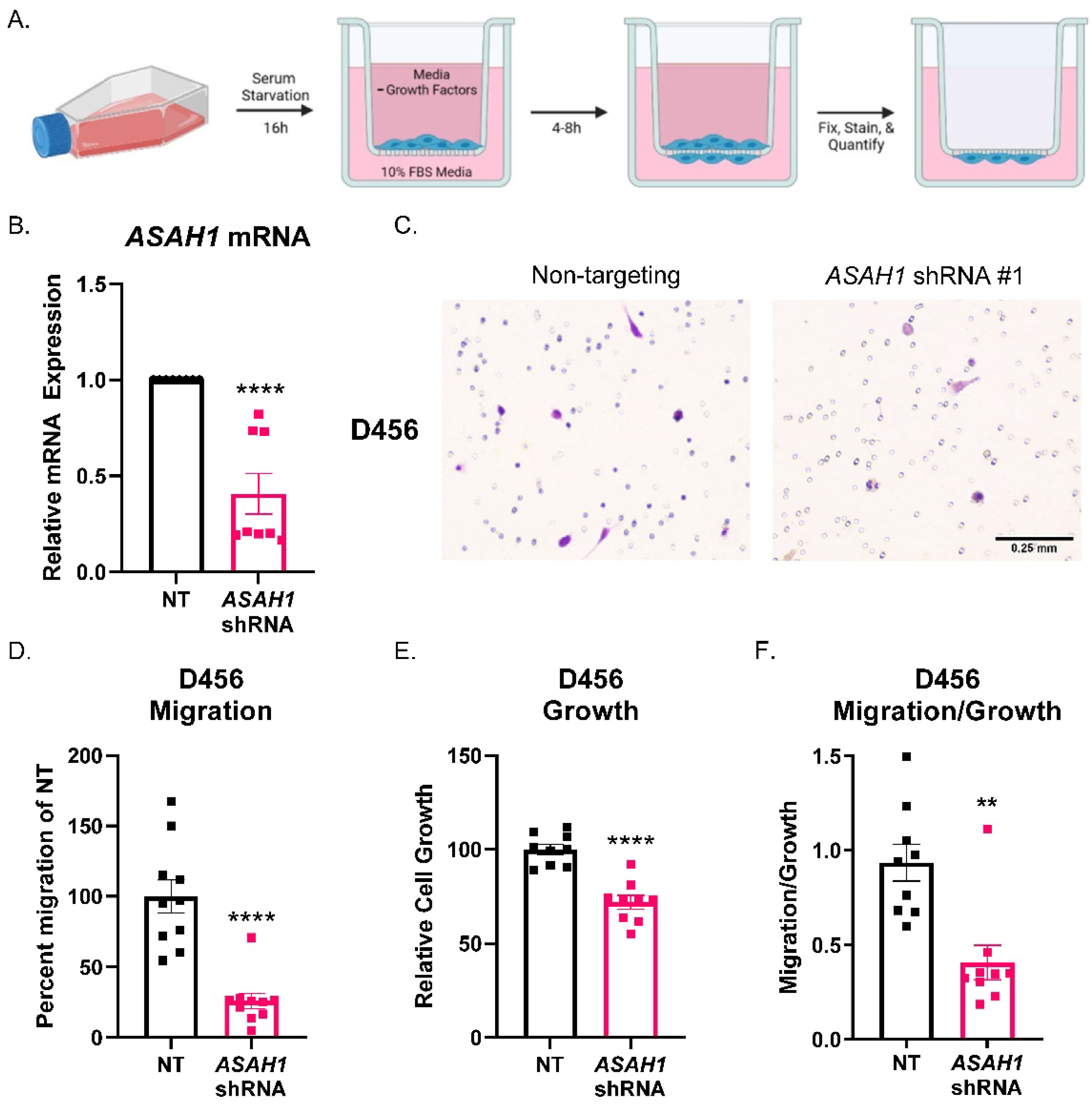 Cells 11 01873 g003 550