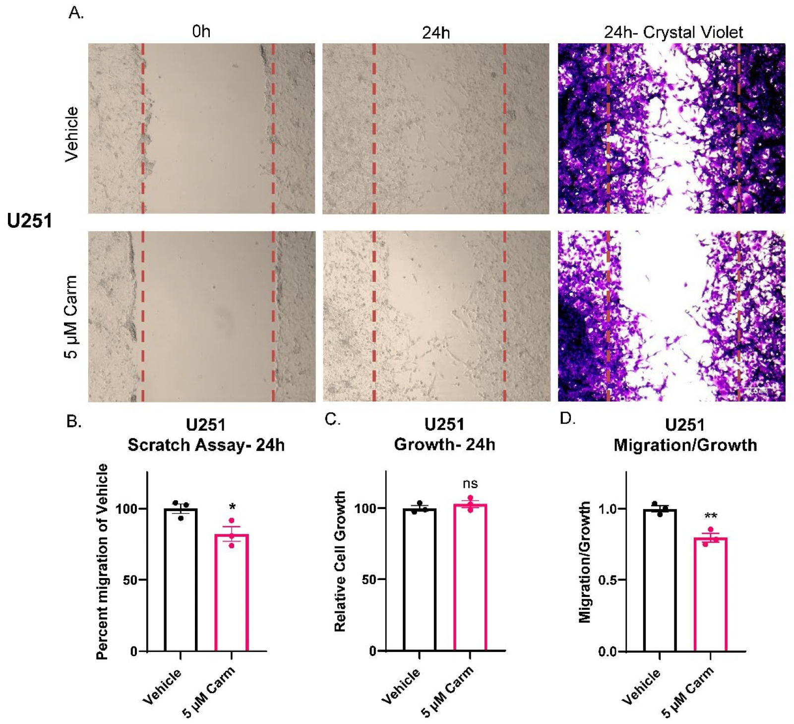 Cells 11 01873 g004 550