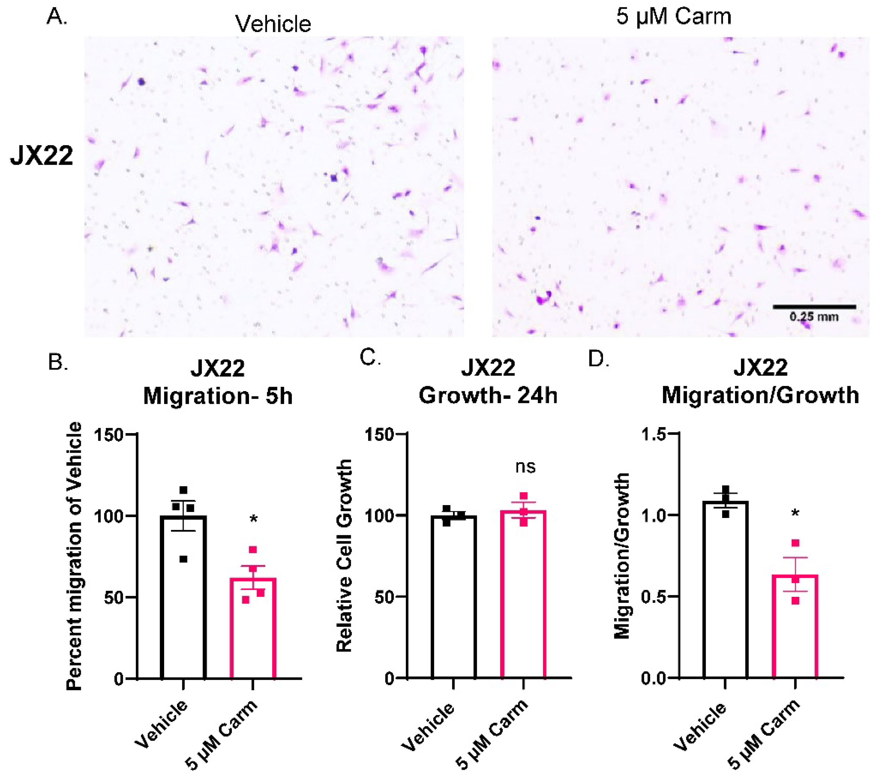 Cells 11 01873 g005 550