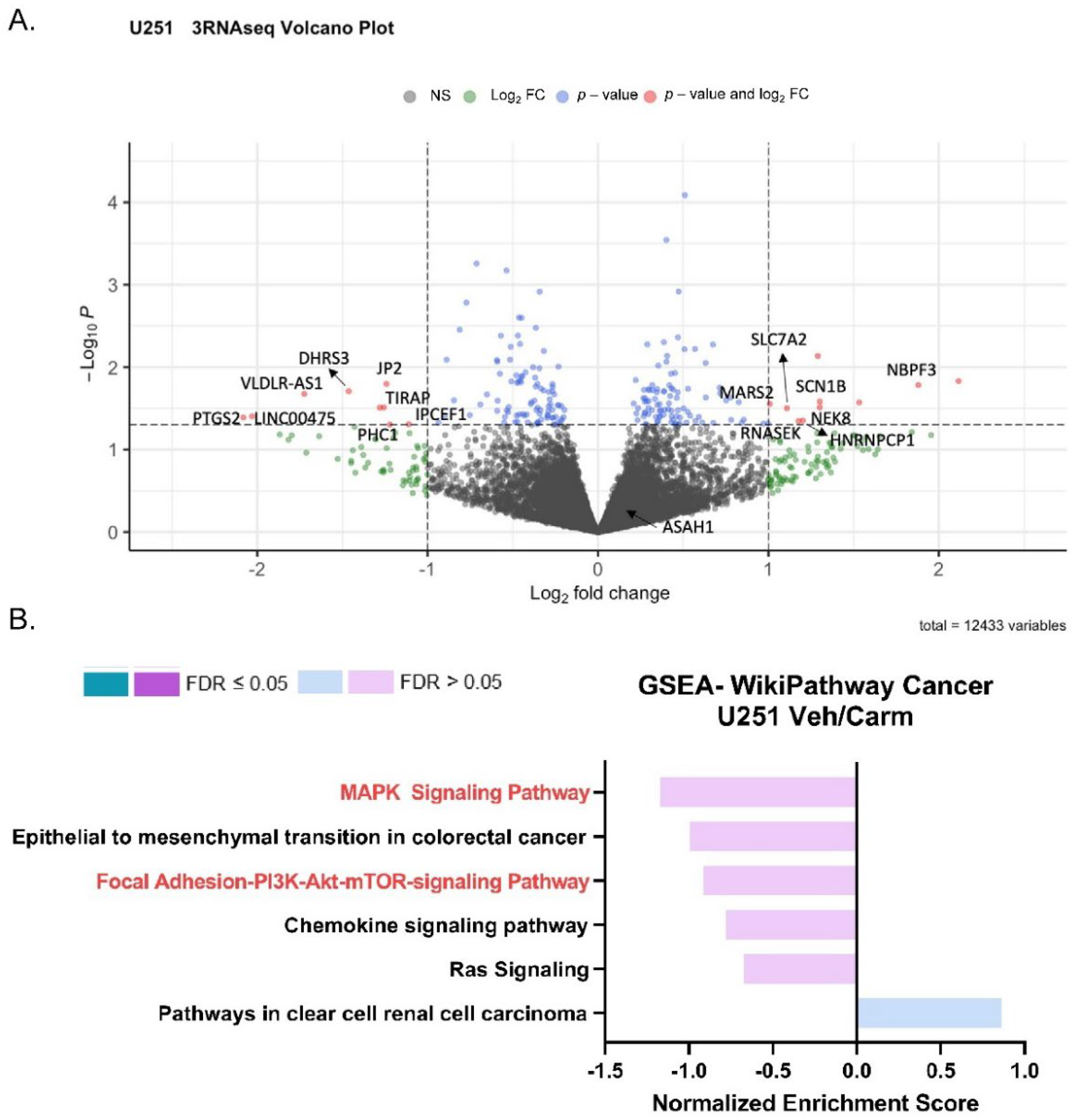 Cells 11 01873 g006 550