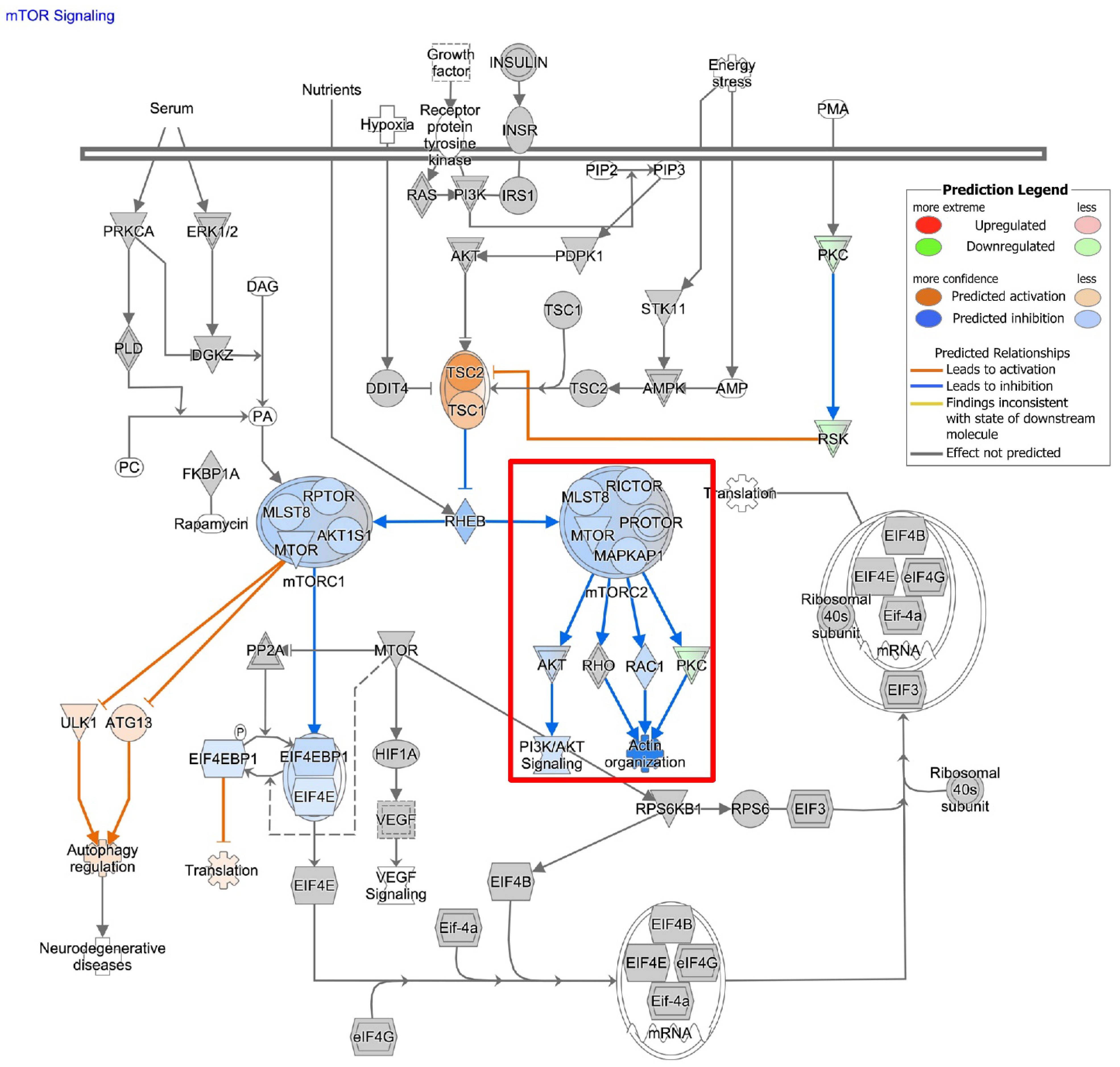 Cells 11 01873 g007 550