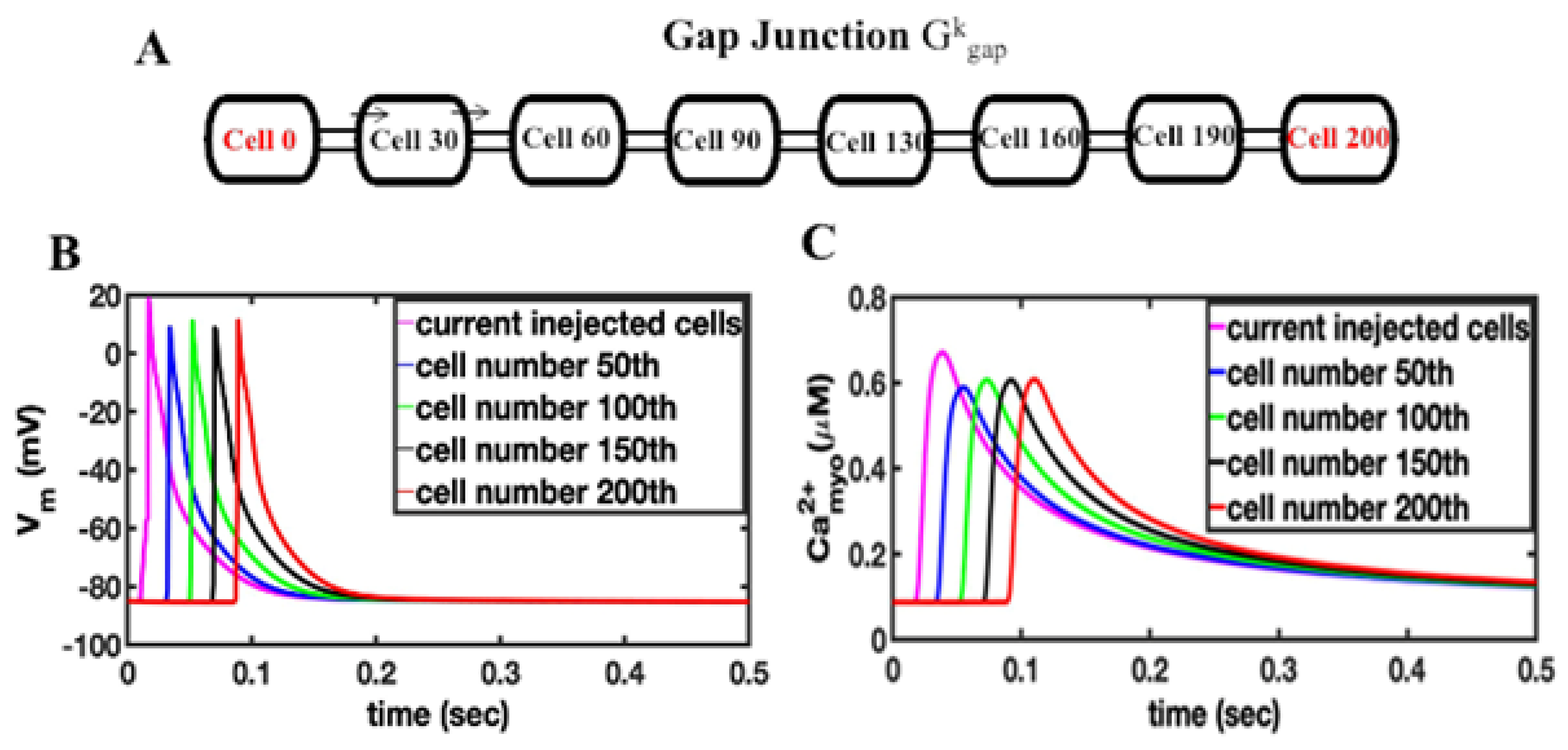 Cells 11 01878 g001 Cells 11 01878 g001
