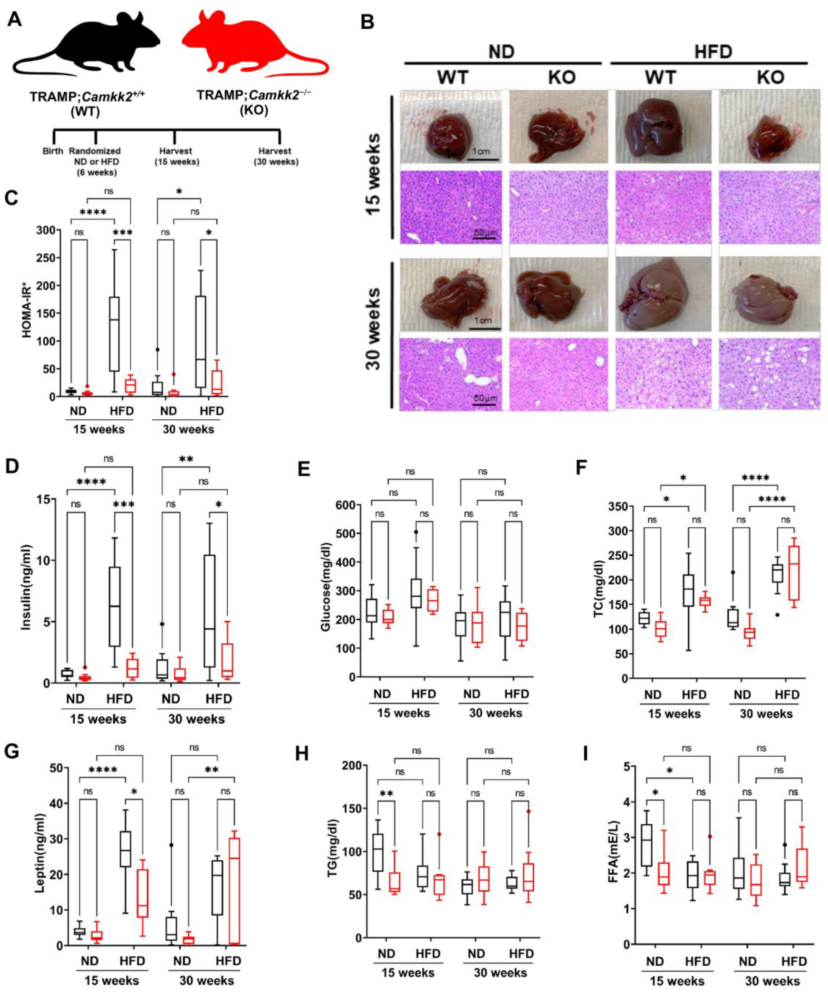 Cells 11 01890 g003 Cells 11 01890 g003