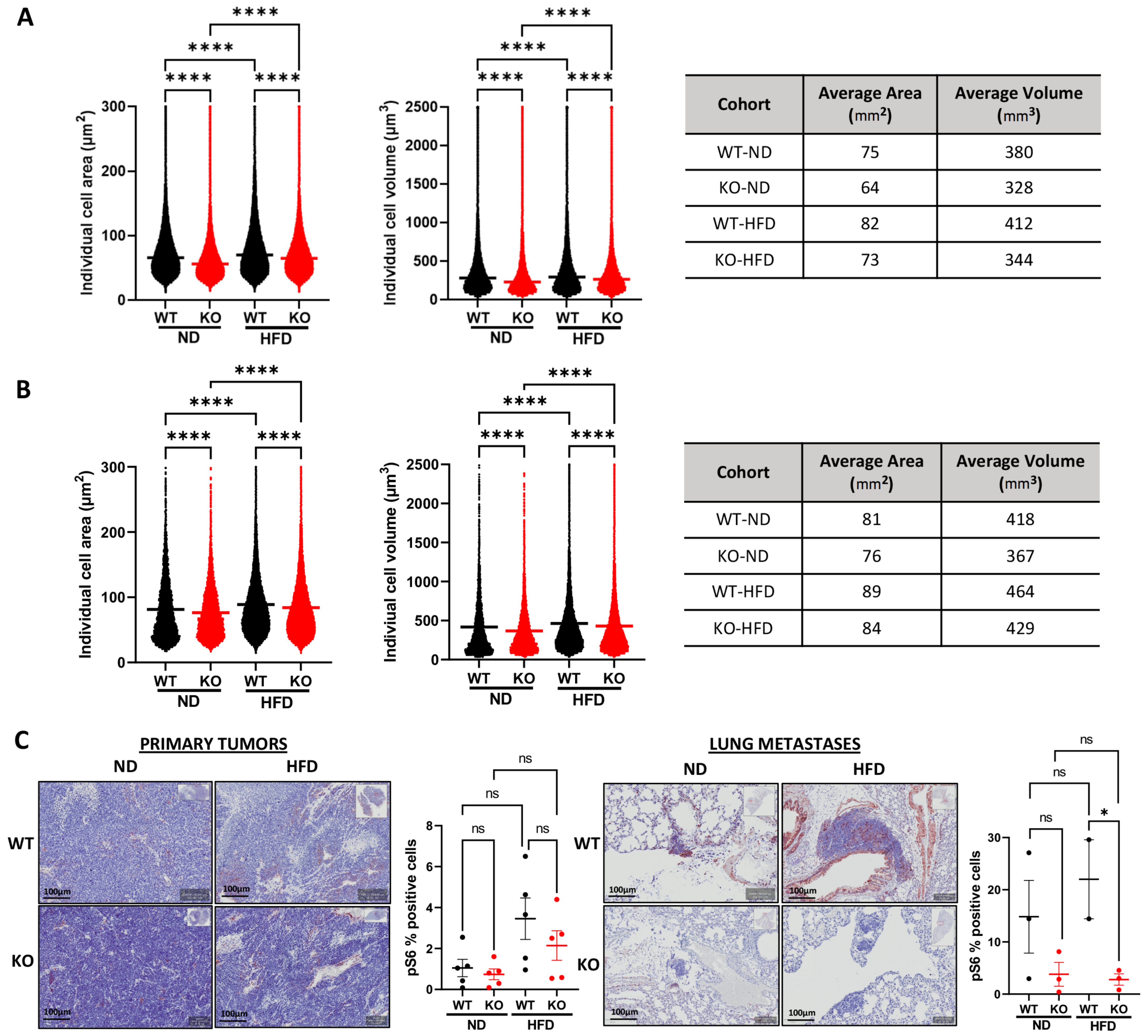 Cells 11 01890 g005 Cells 11 01890 g005