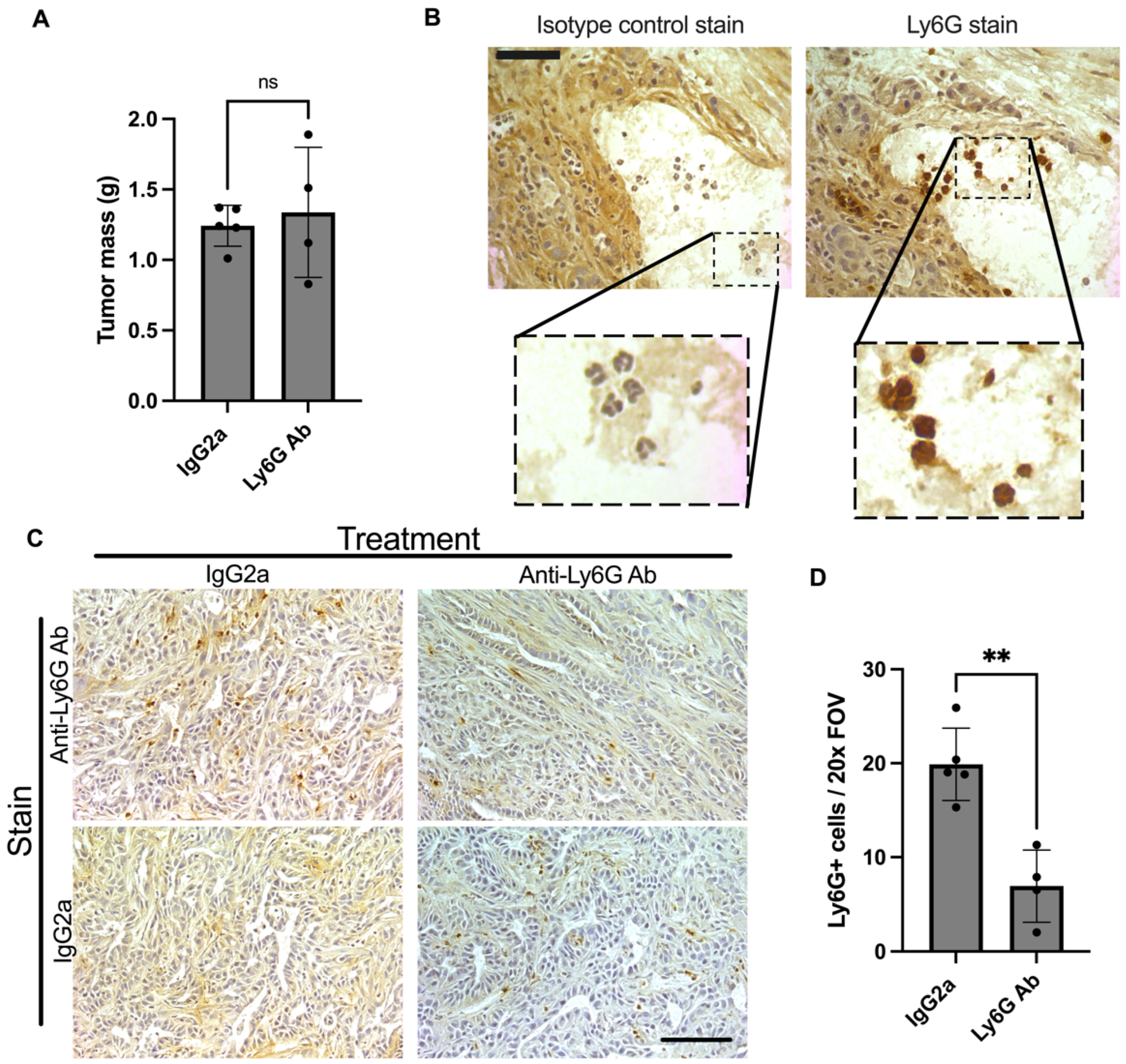 Cells 11 01893 g003 550