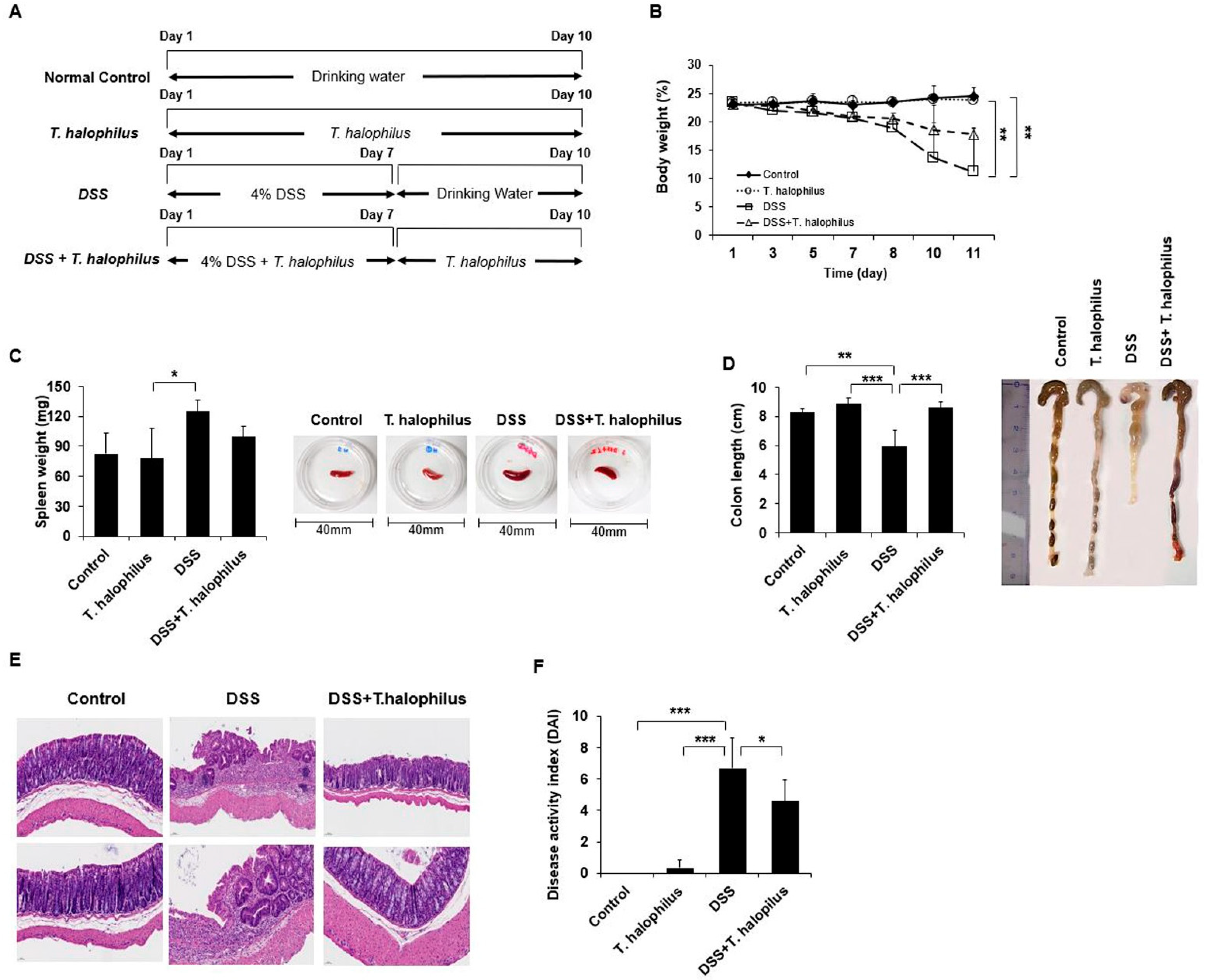 Cells 11 01903 g001 550