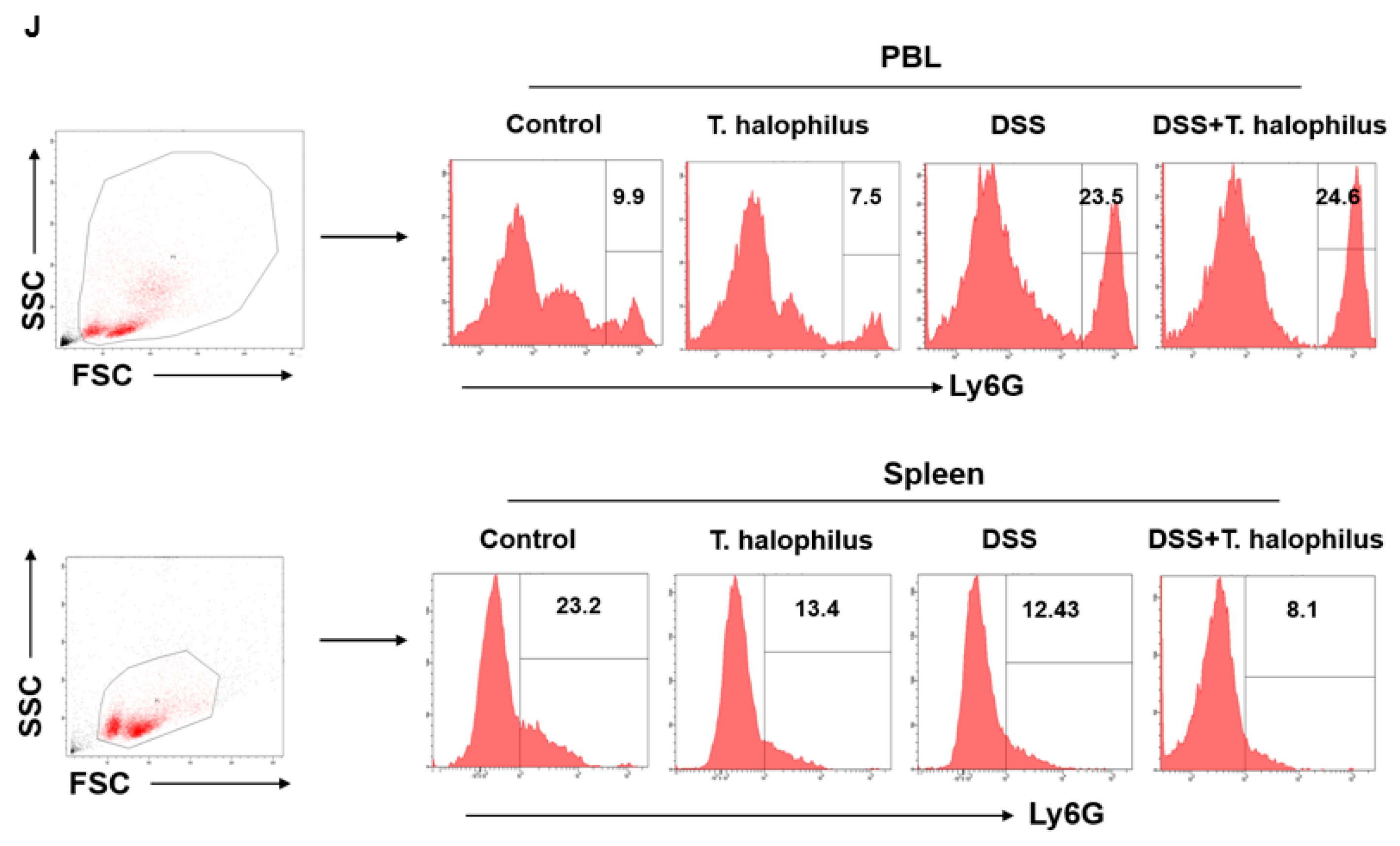 Cells 11 01903 g004b 550