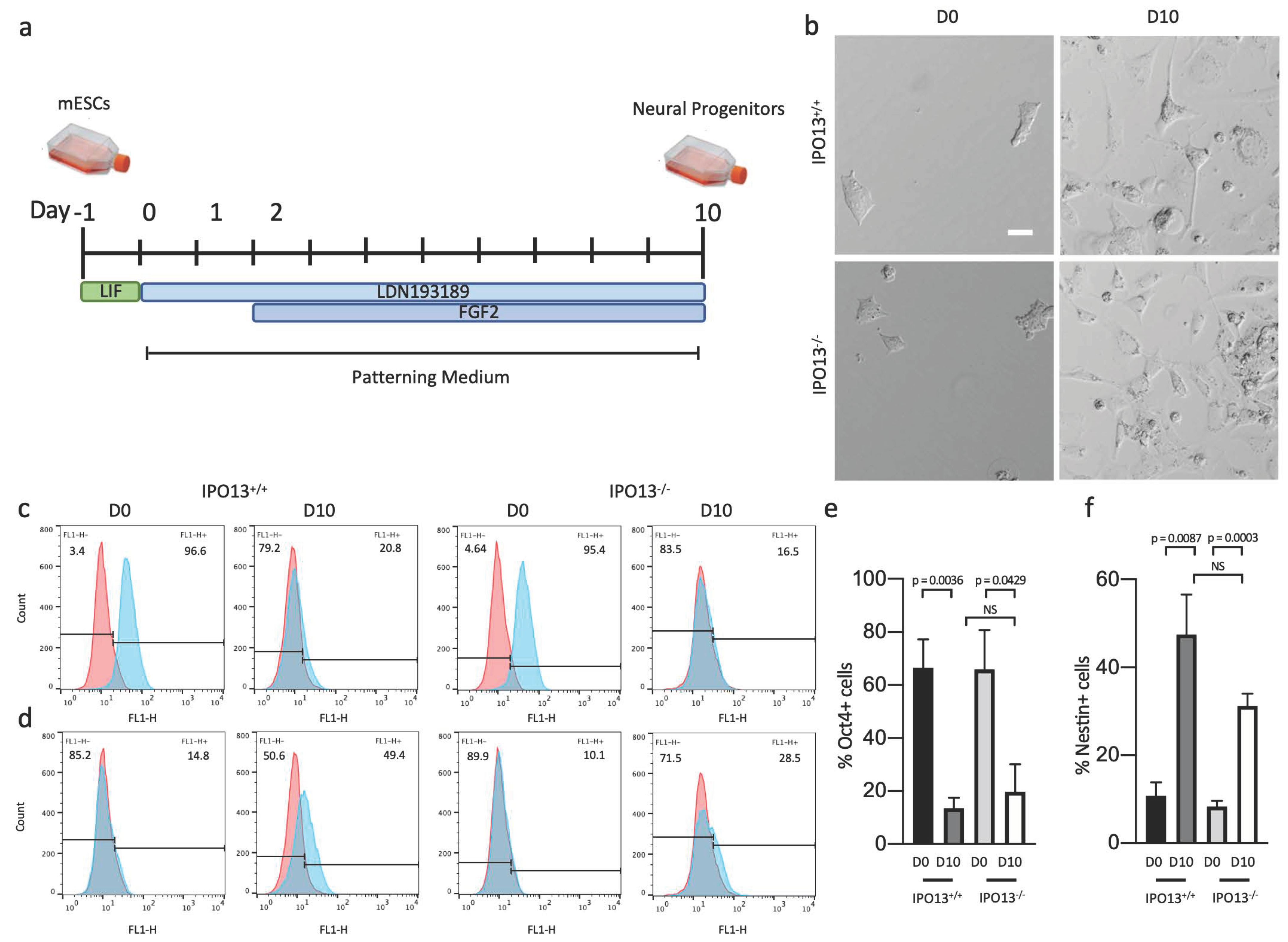 Cells 11 01904 g001 Cells 11 01904 g001