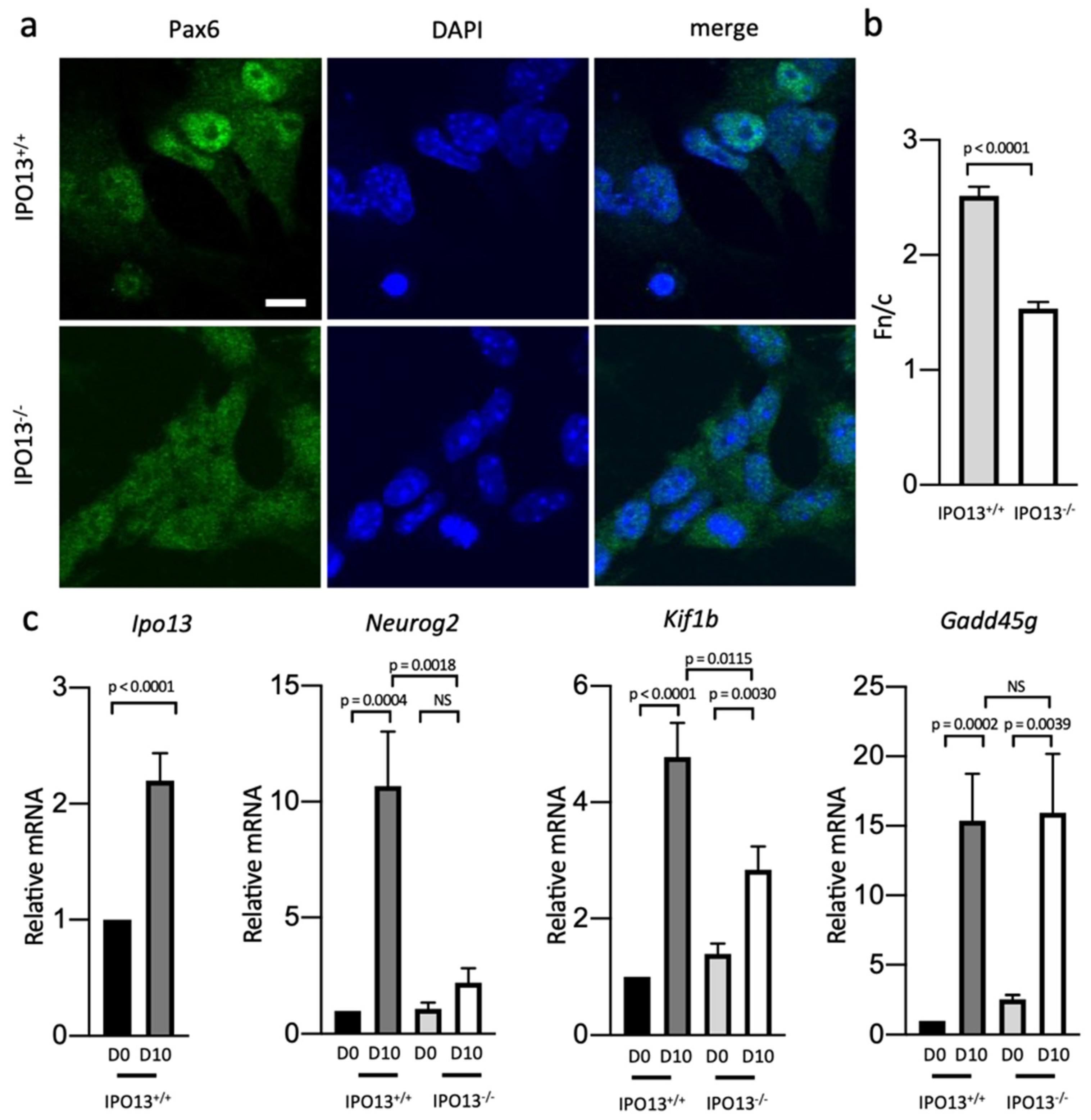 Cells 11 01904 g003 Cells 11 01904 g003