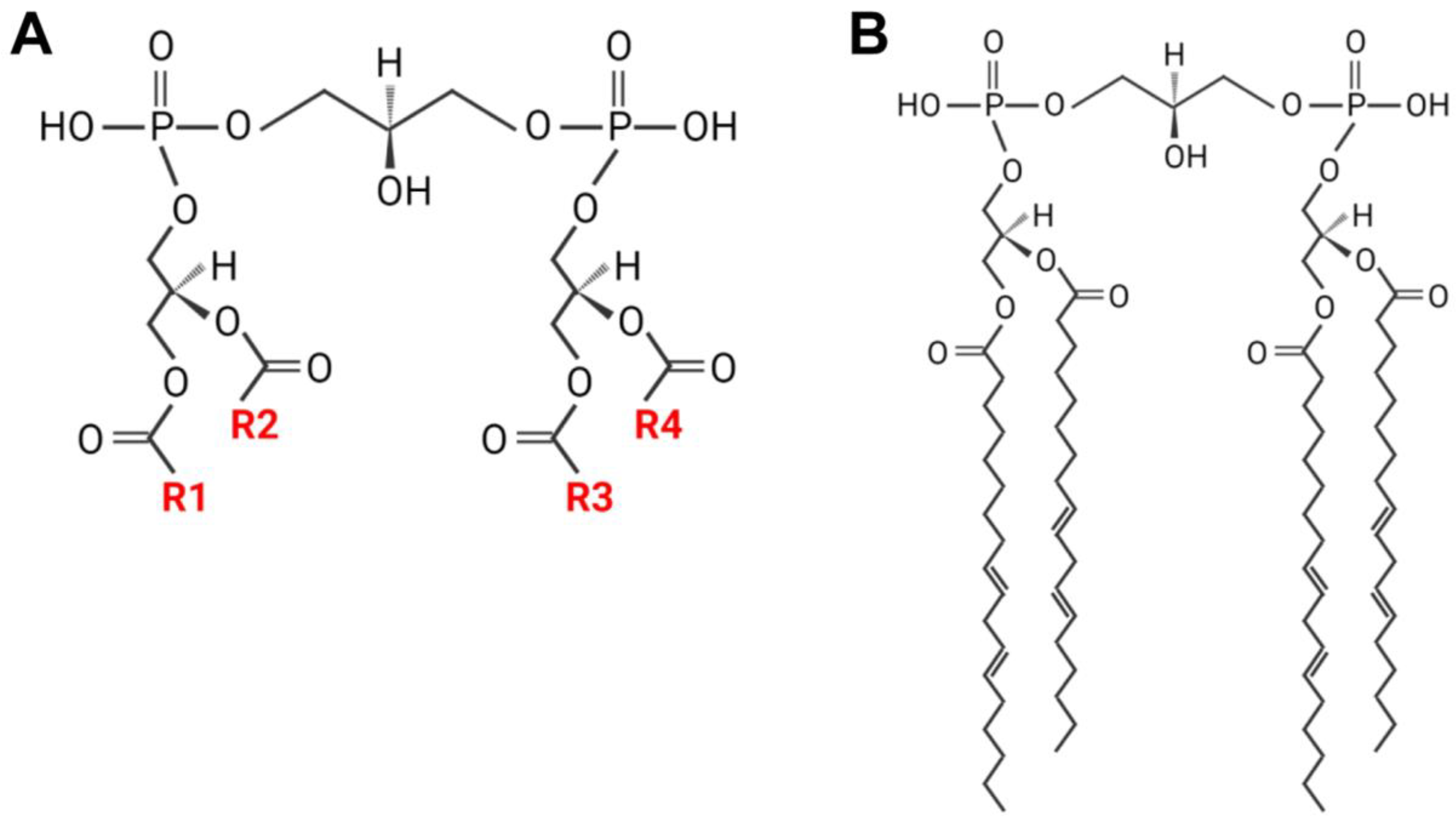 Cells 11 01906 g001 550